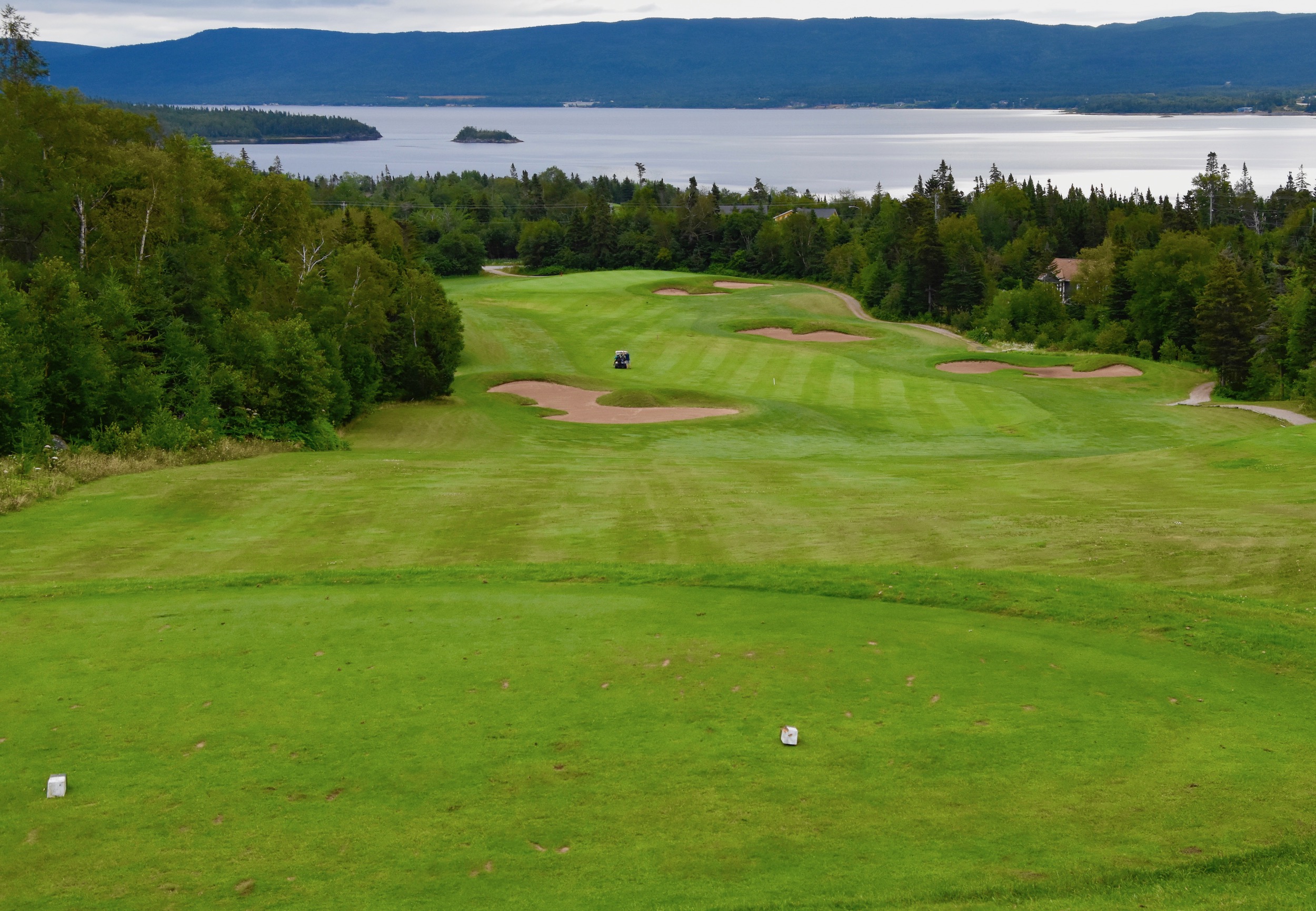 #3 Humber Valley Resort