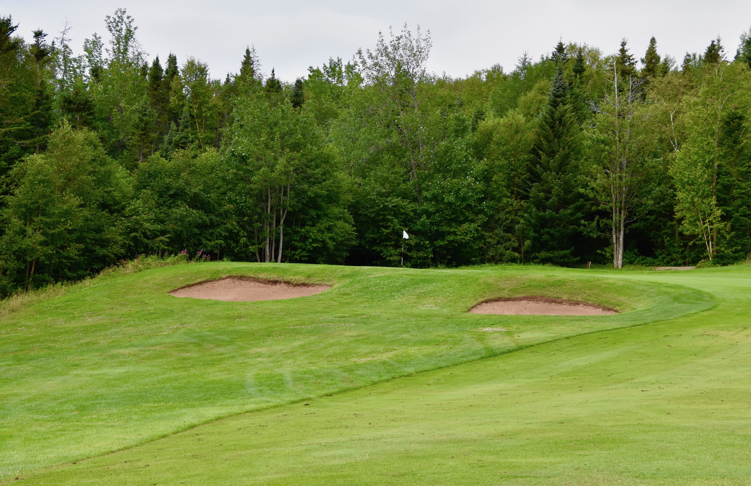 No. 7 Approach, Humber Valley Resort