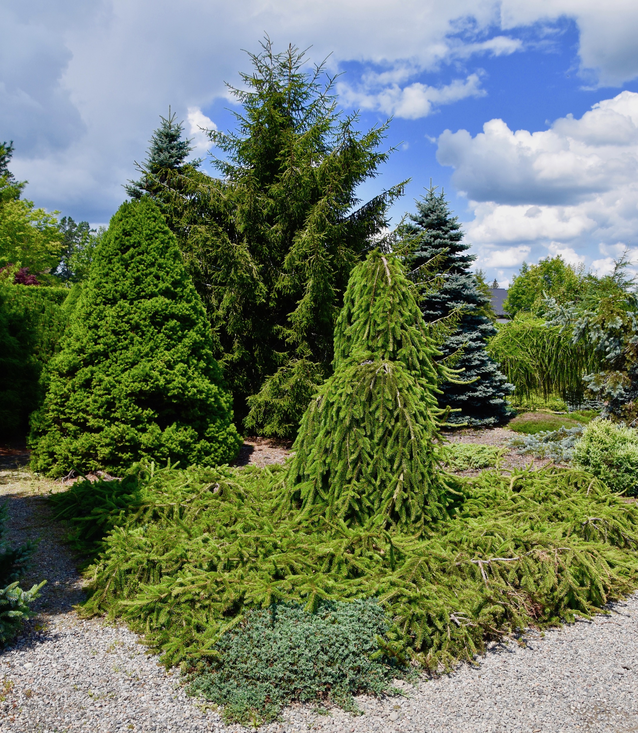 Shades of Green, Kingsbrae Garden