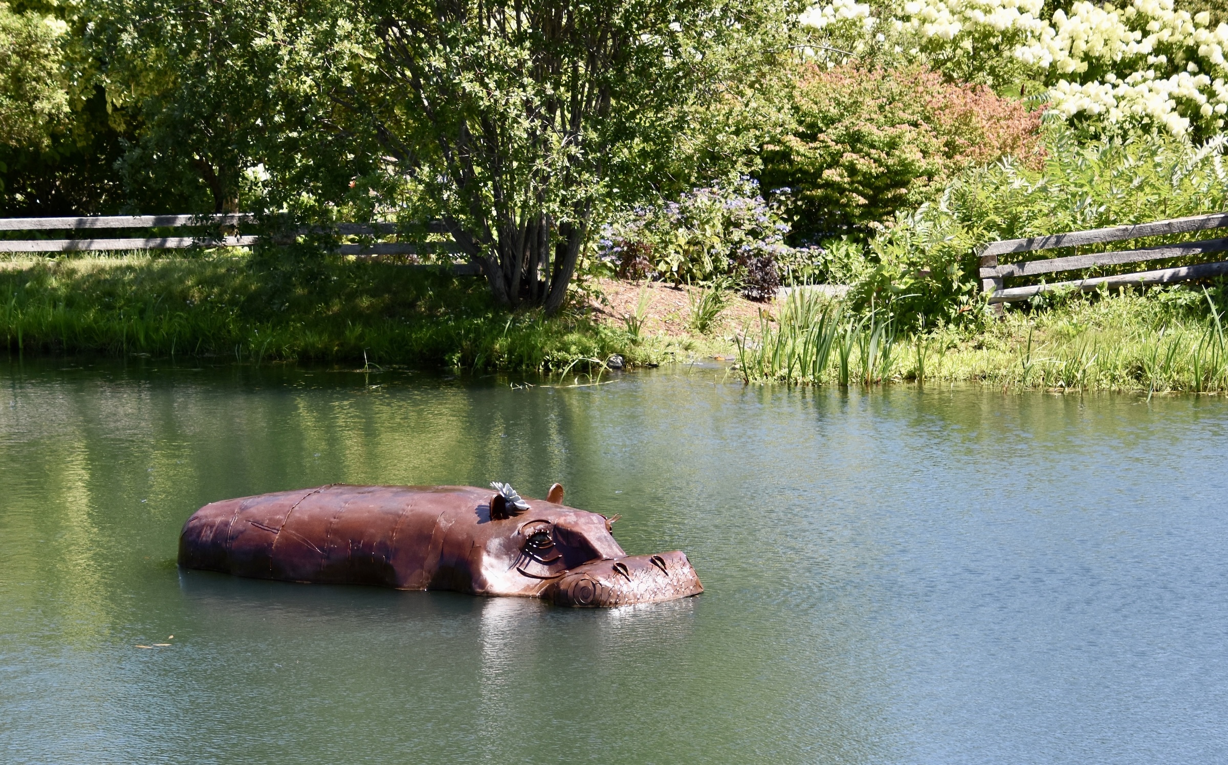Kingsbrae Garden Hippo