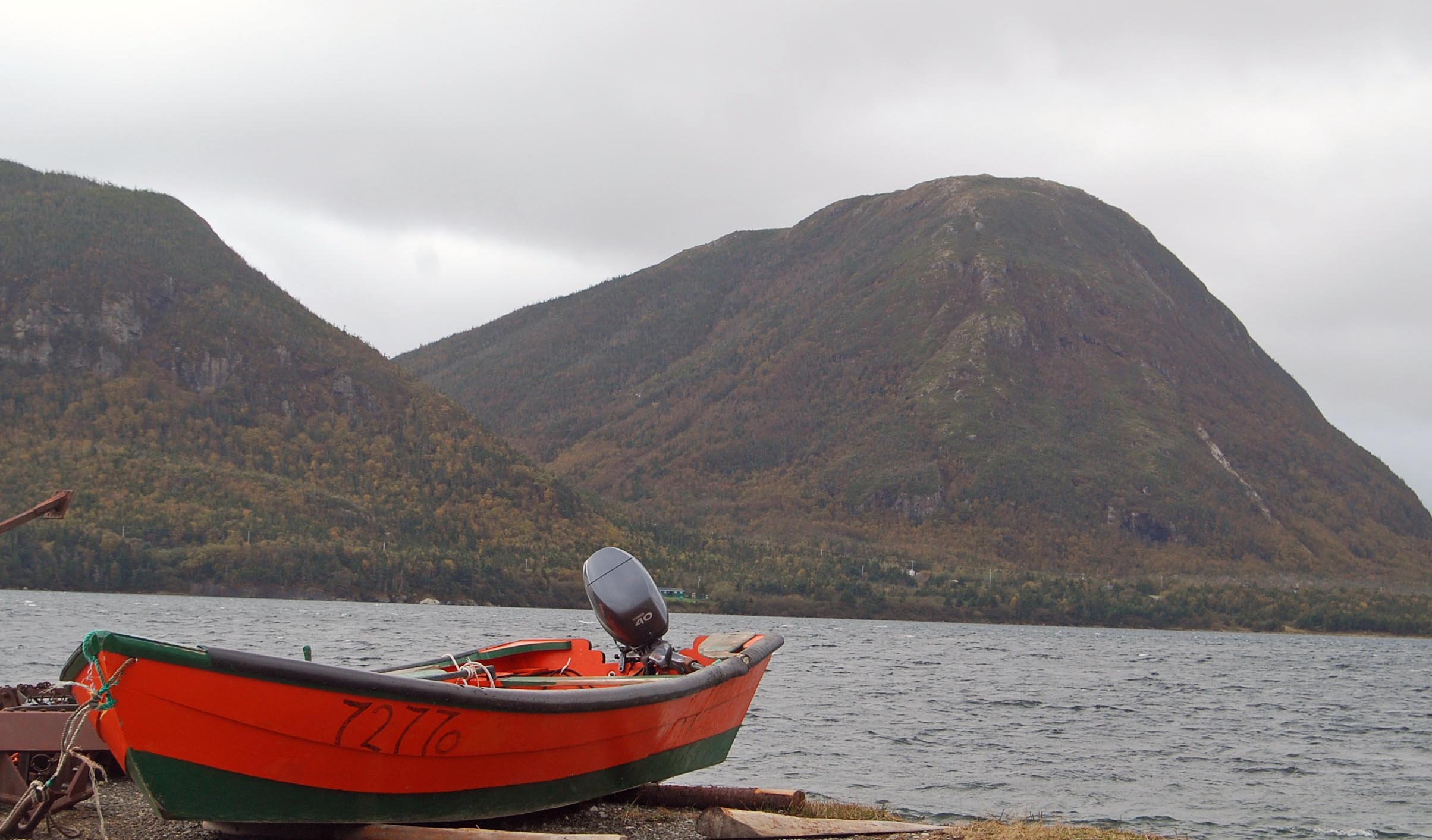 View from Lark Harbour, Captain James Cook Trail