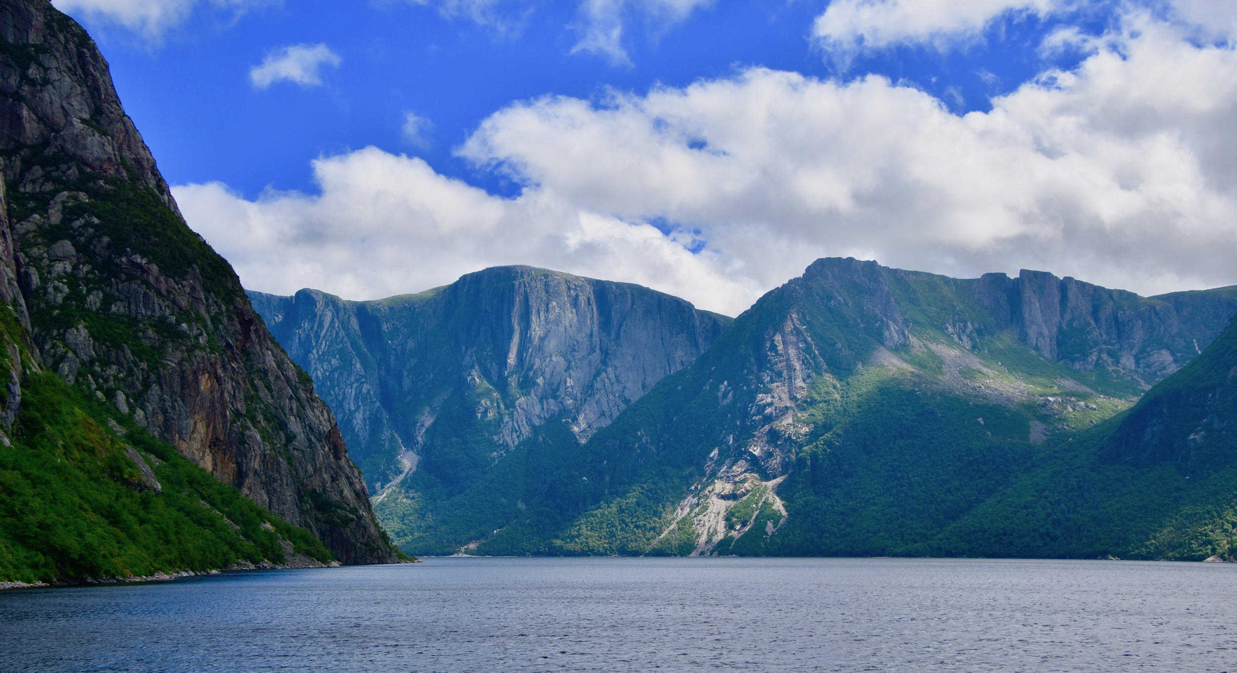 Looking into the Fjord, Western Brook Pond