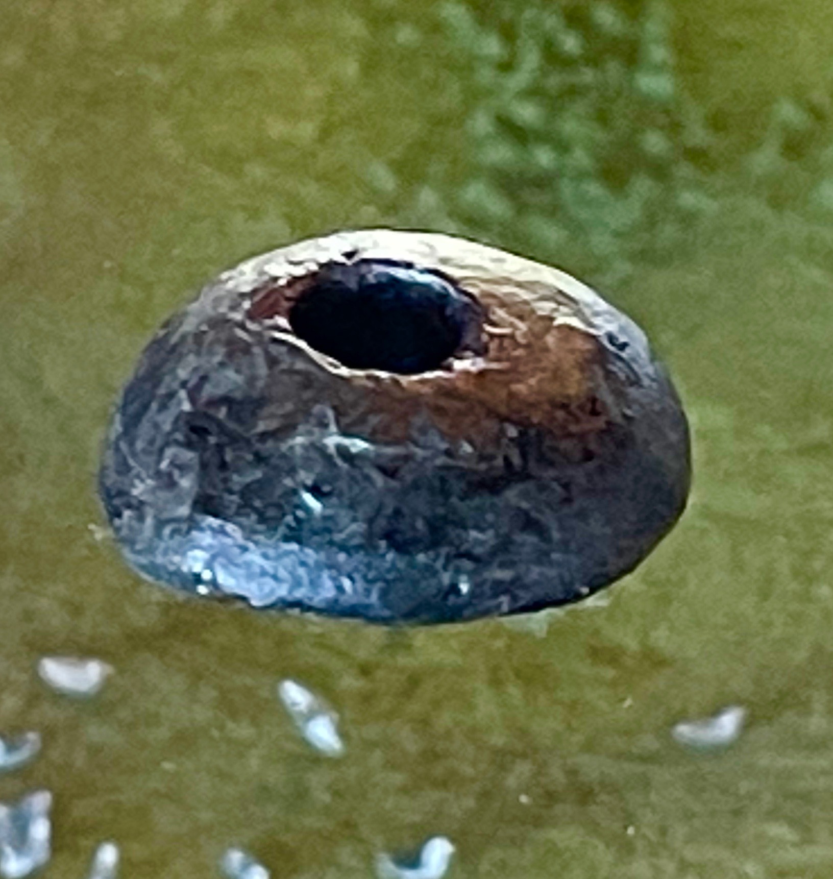 First Authentic Viking Artifact Found - Wood Spindle at L'Anse aux Meadows