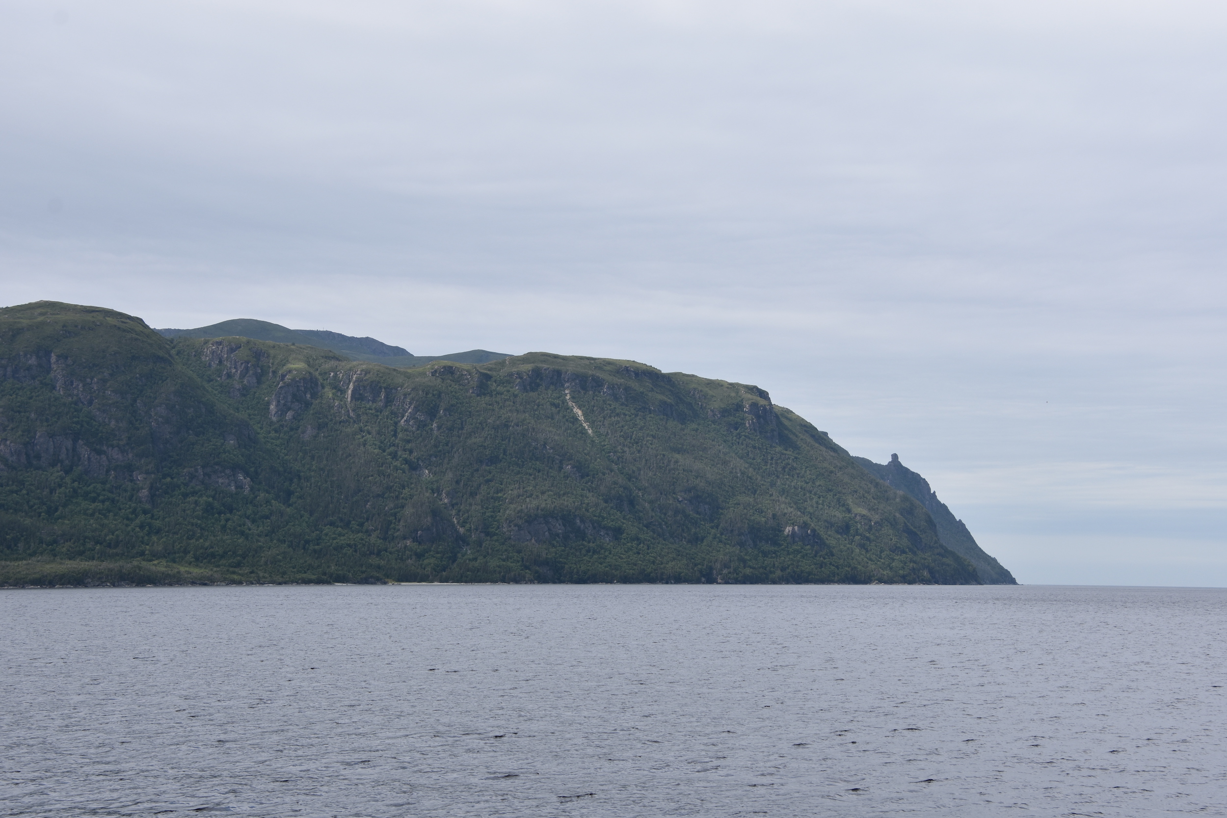 fjord tour newfoundland