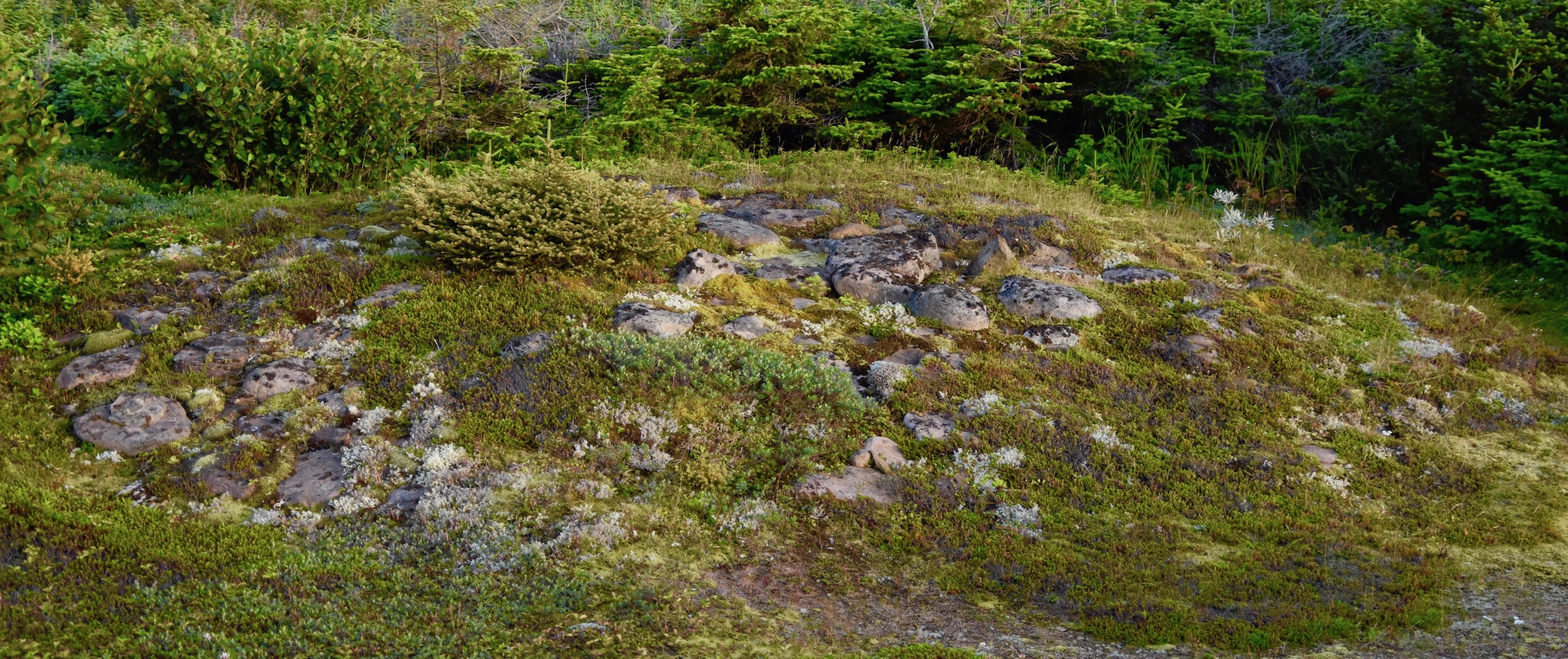 North America's Oldest Grave, Labrador