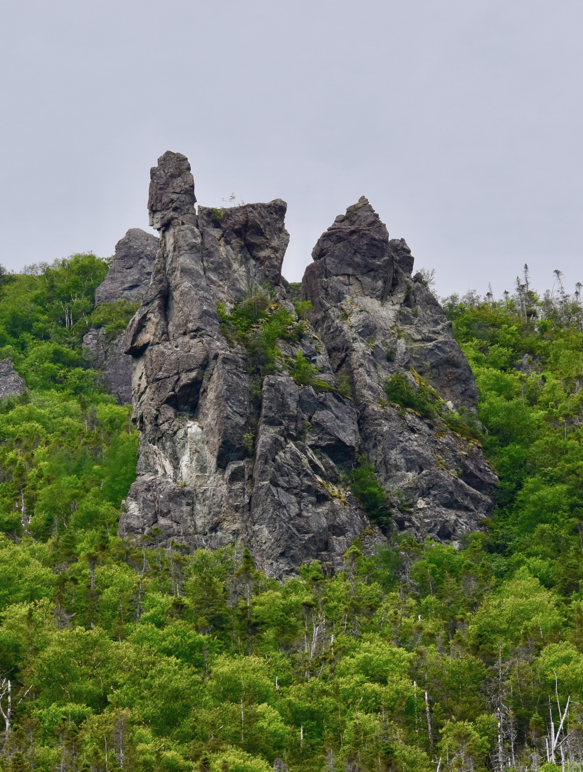 Pinnacles of Lookout Hills, Bonne Bay