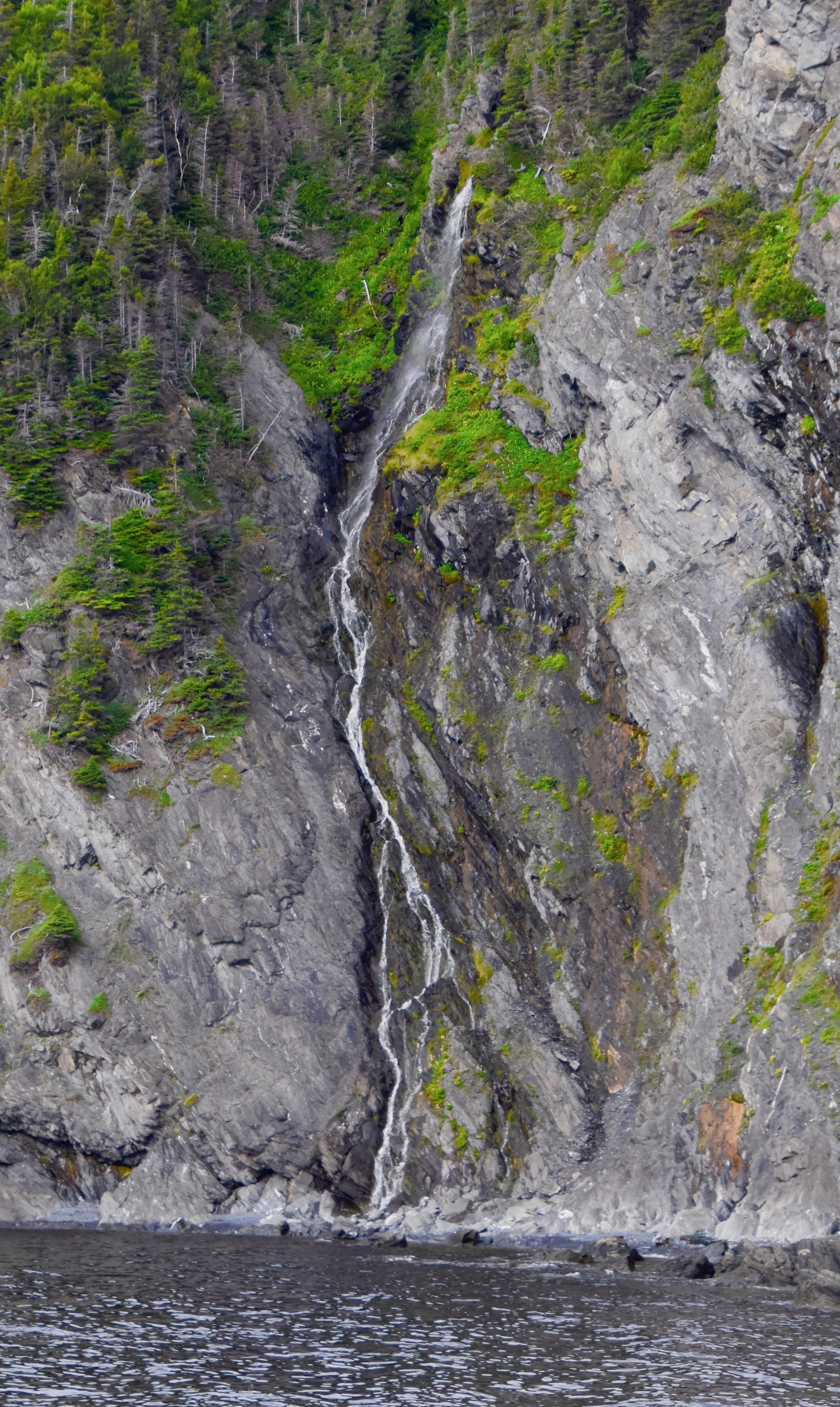 Small Waterfall, Bonne Bay