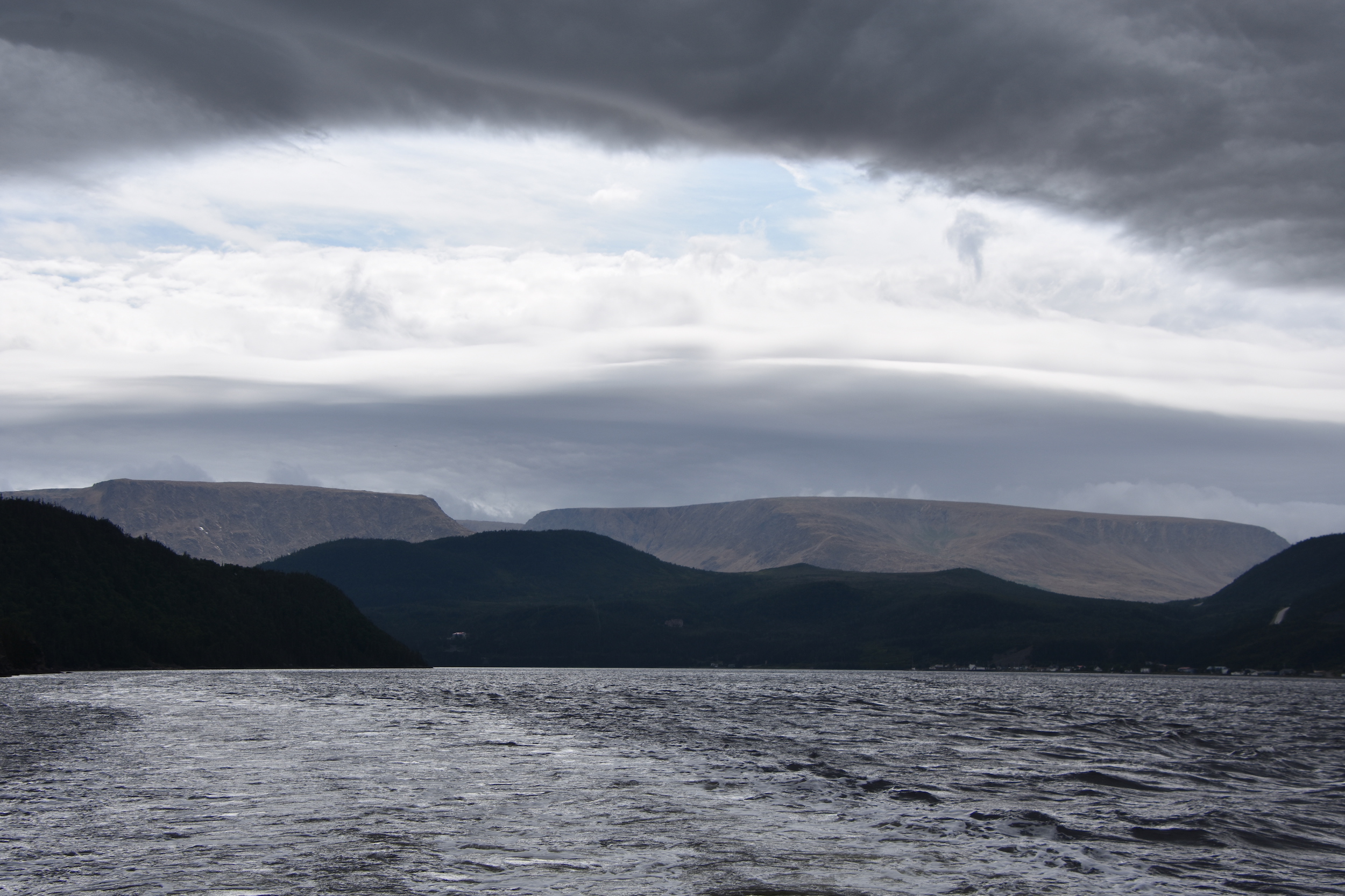 fjord tour newfoundland