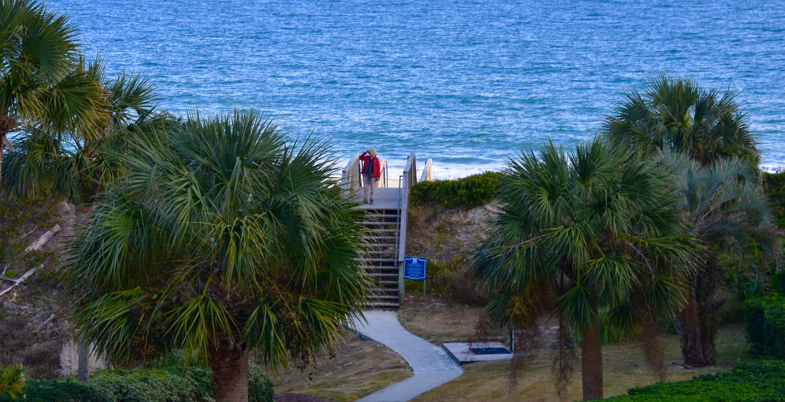 Alison From Room 328, Litchfield By the Sea