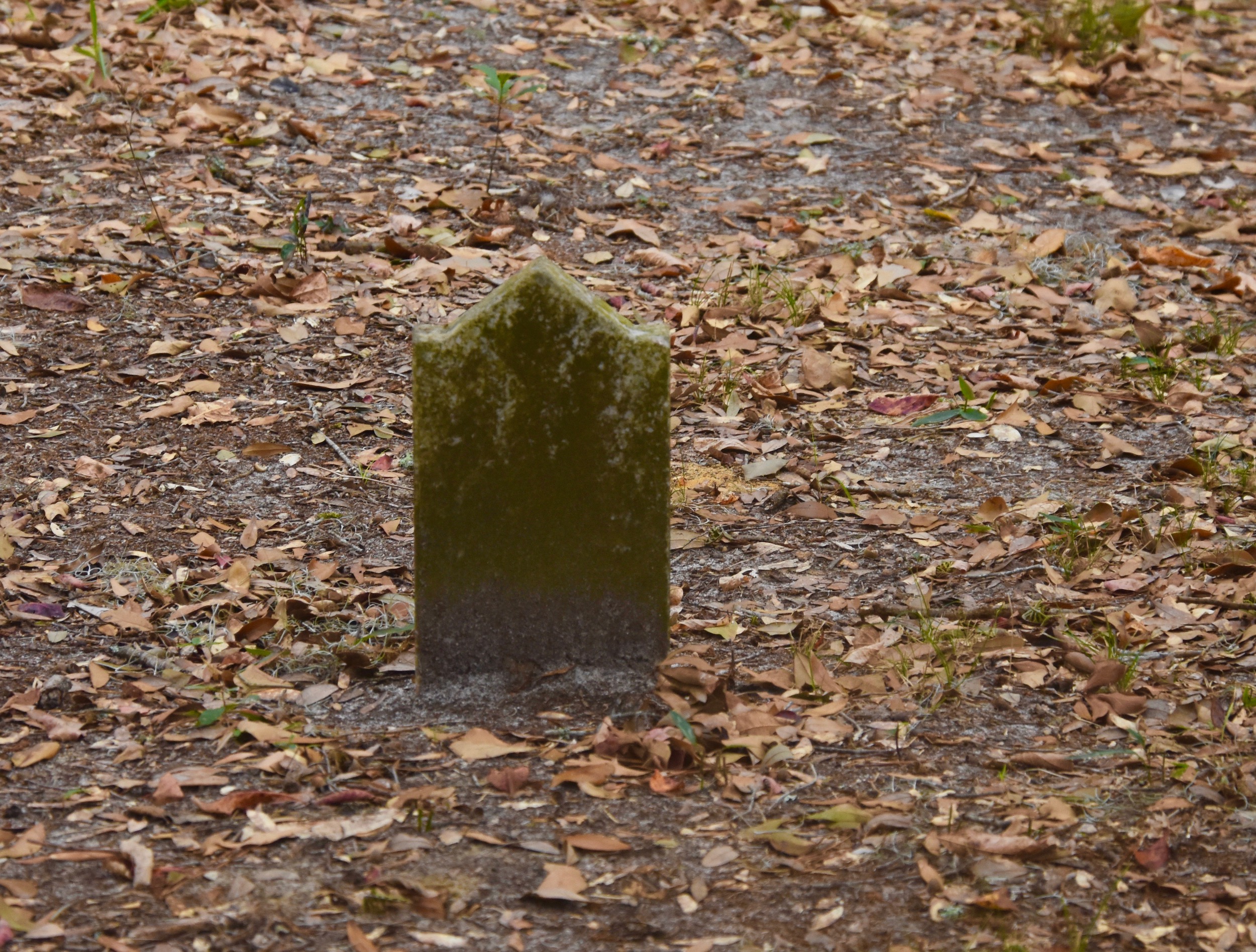 Grave of Albert Doctor, Litchfield by the Sea