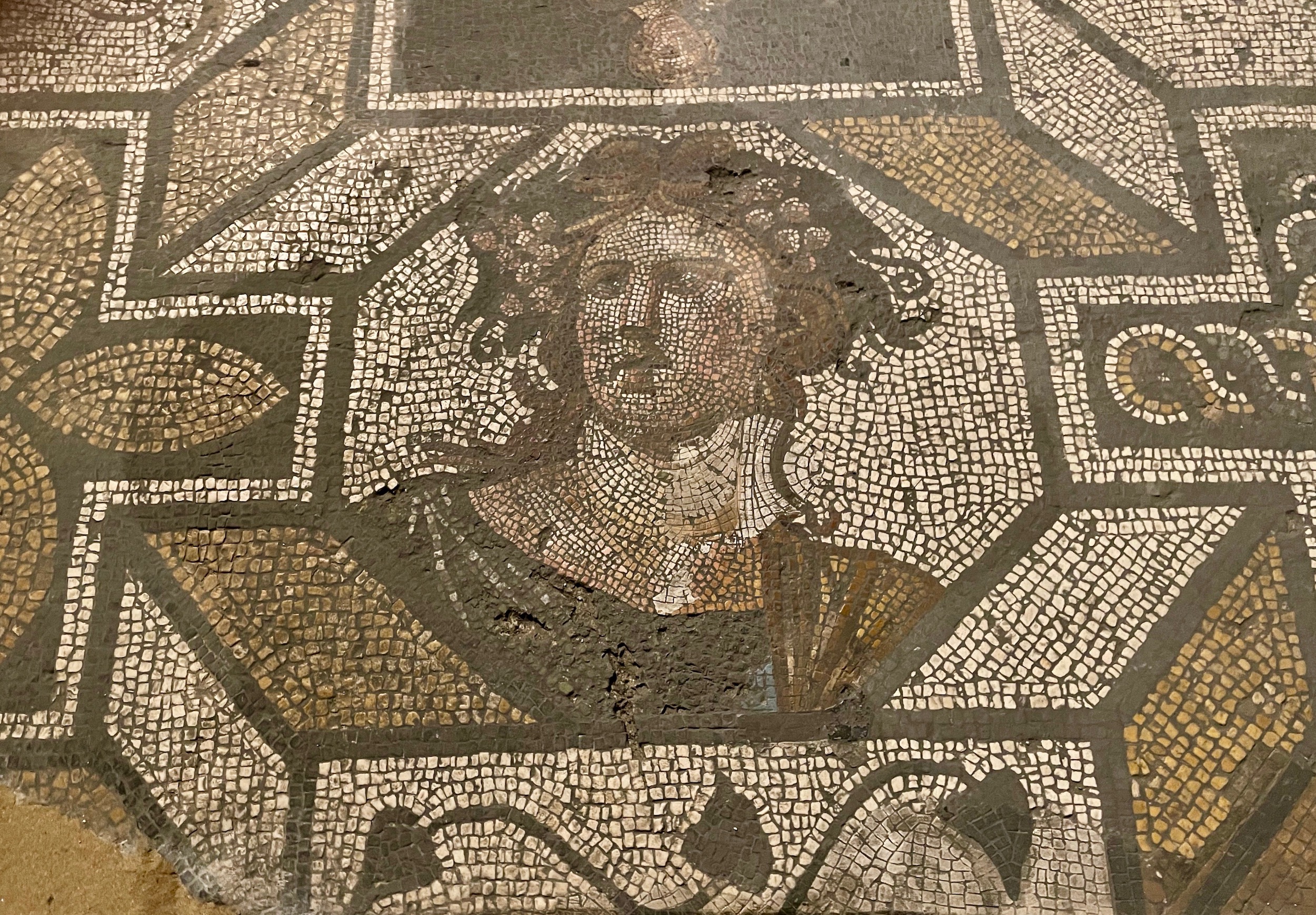 Istanbul Archaeological Museums Mosaic