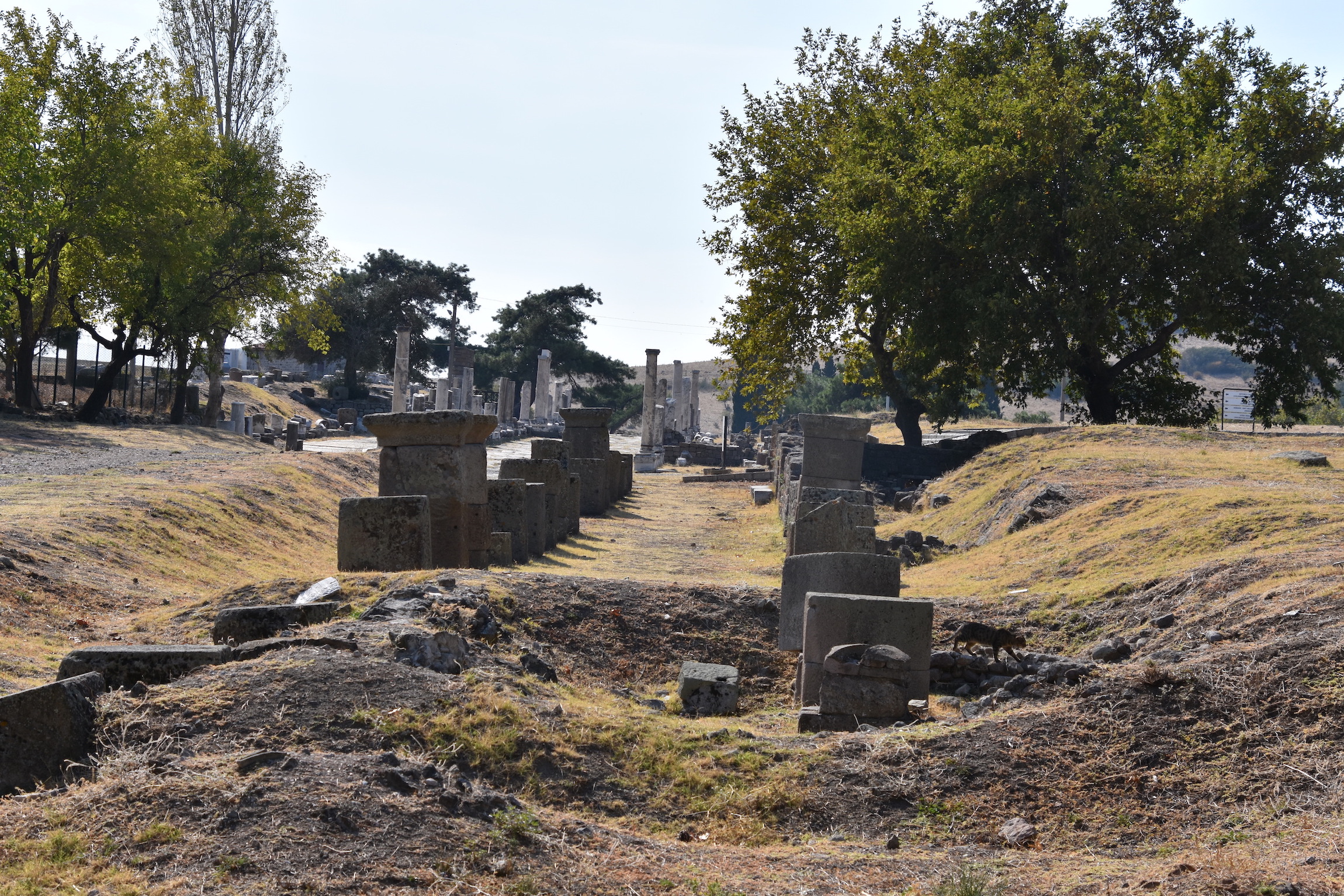 Doric Processional Way, Asclepeion of Galen