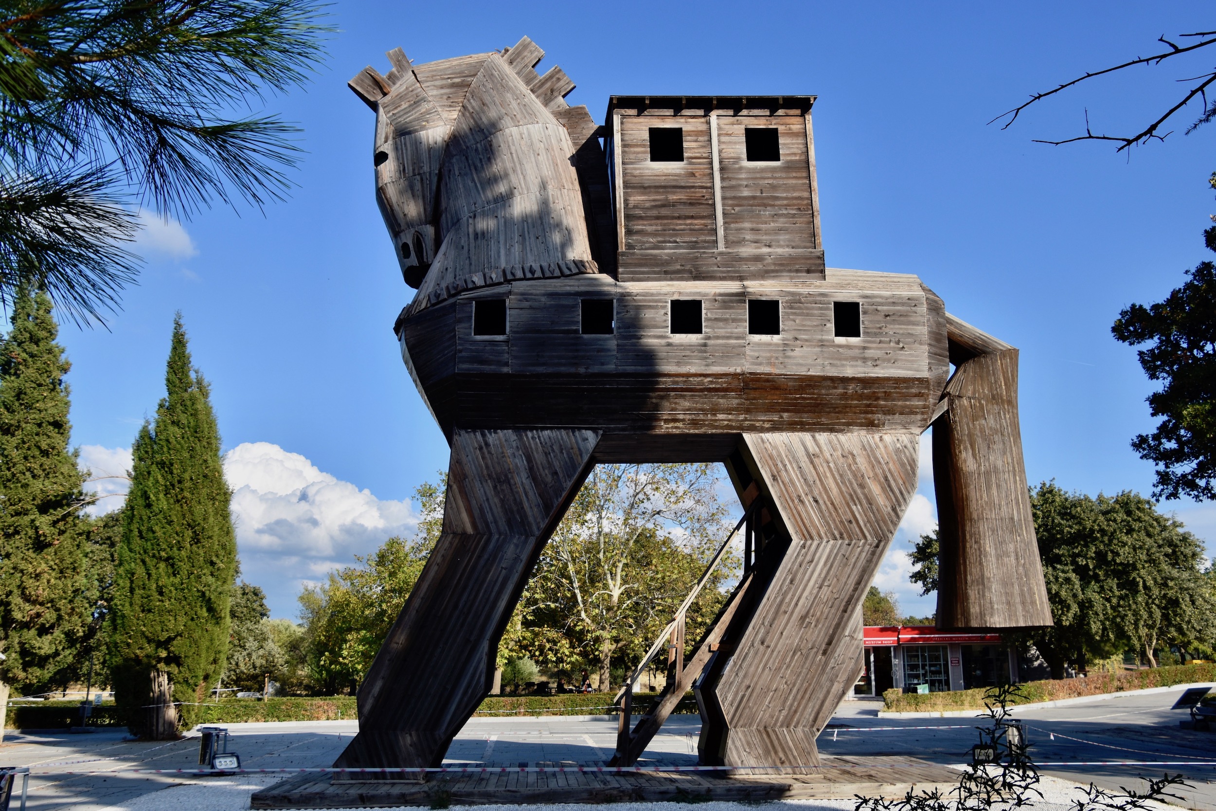 The Trojan Horse, Troy