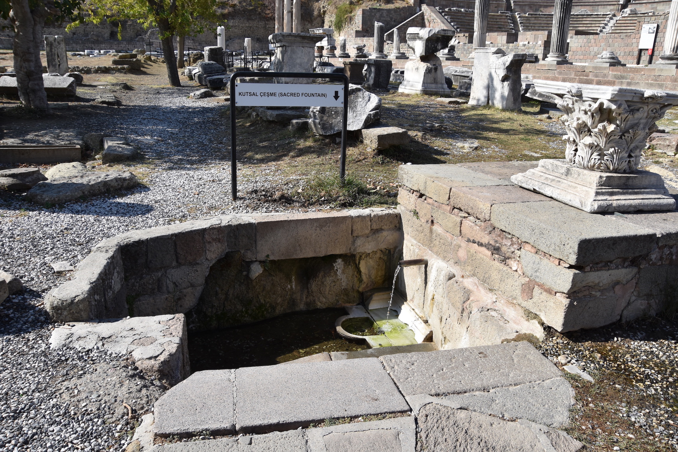 The Sacred Fountain at Pergamon where Galen Practiced