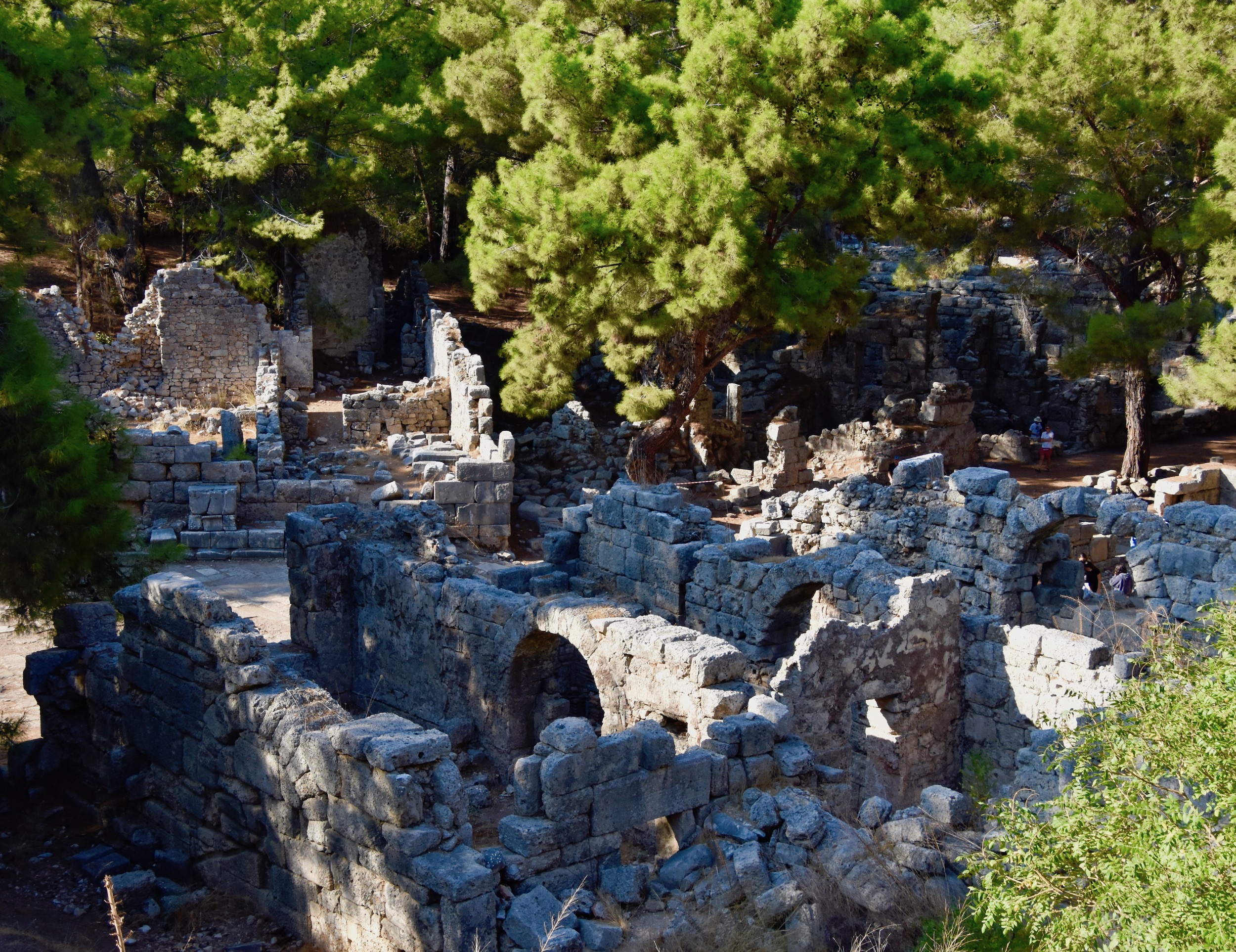 More Ruins in the Pines, Phaselis