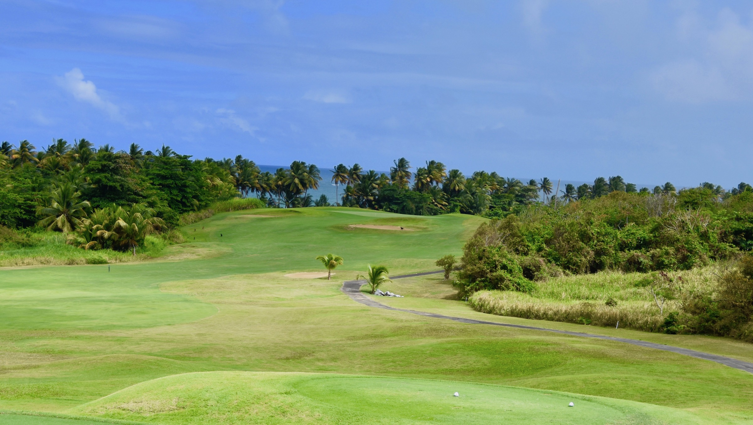 #16 Palm Course