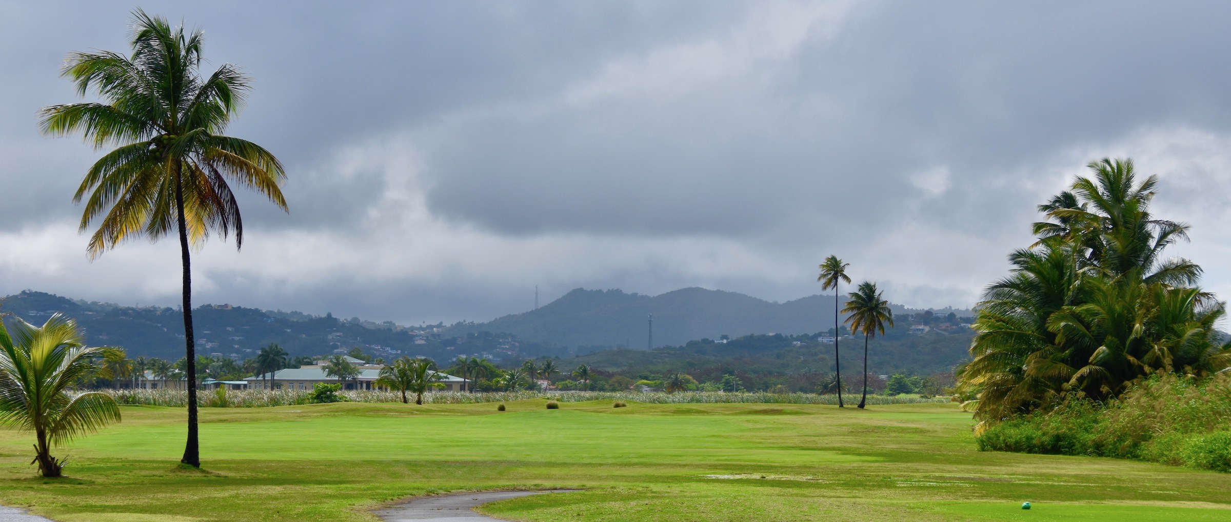 #18 Palm Course