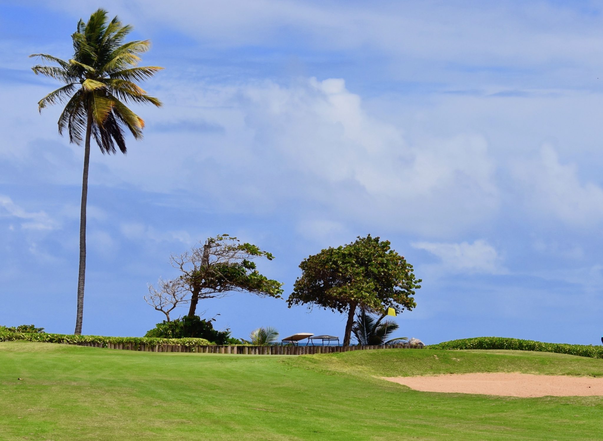 Palm Course Wyndham Palmas Beach Resort The Maritime Explorer Palm Course Wyndham Palmas Beach Resort The Maritime Explorer