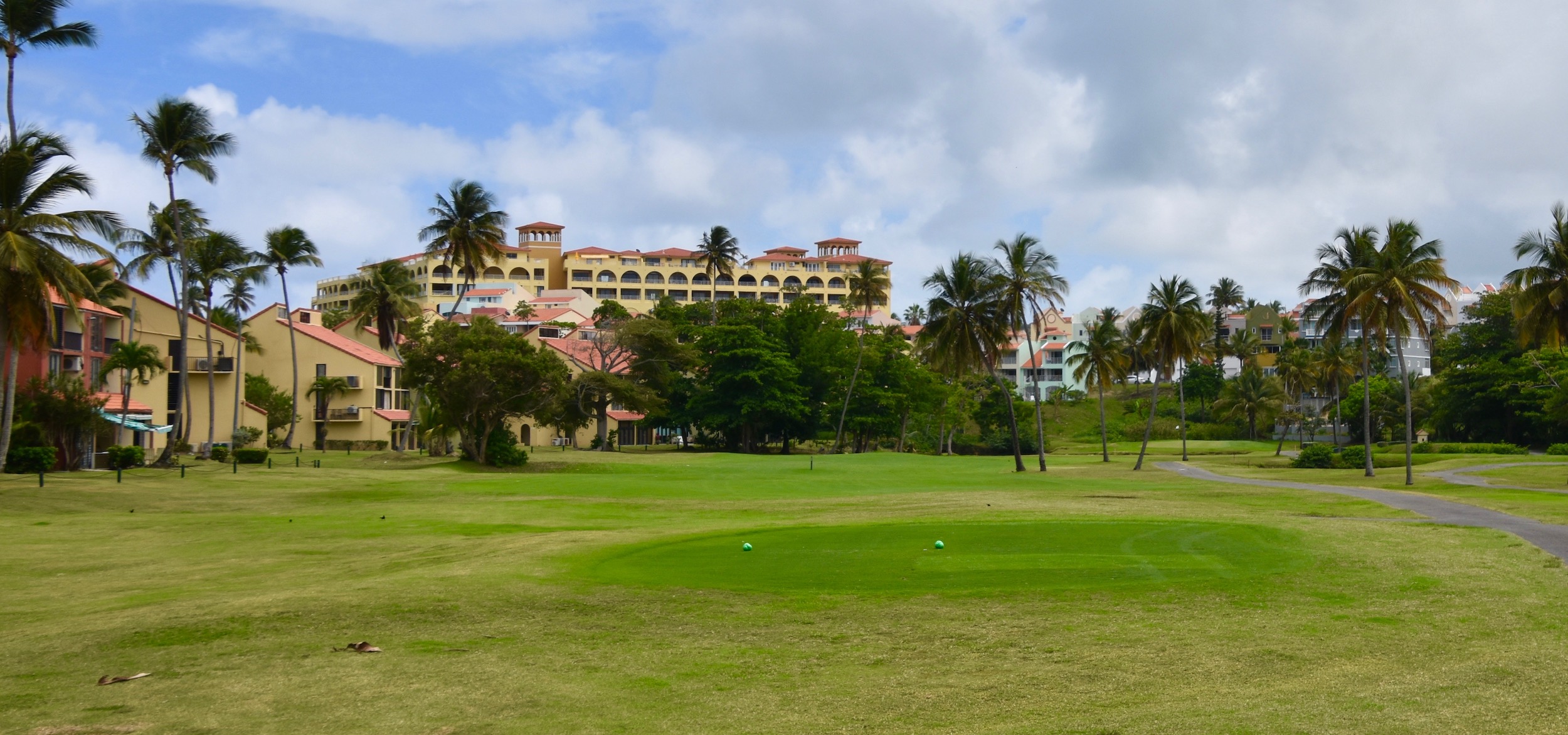 #5 Palm Course