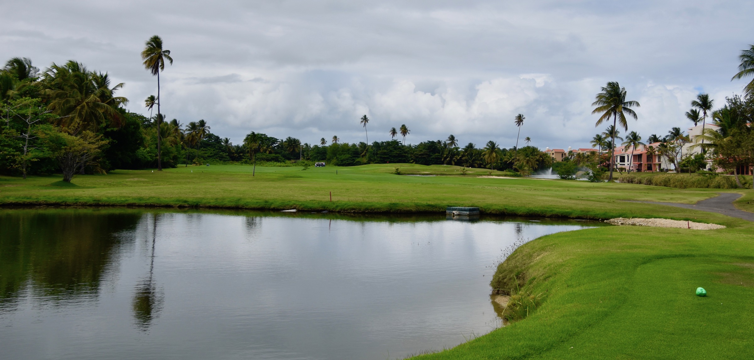 #7 Palm Course