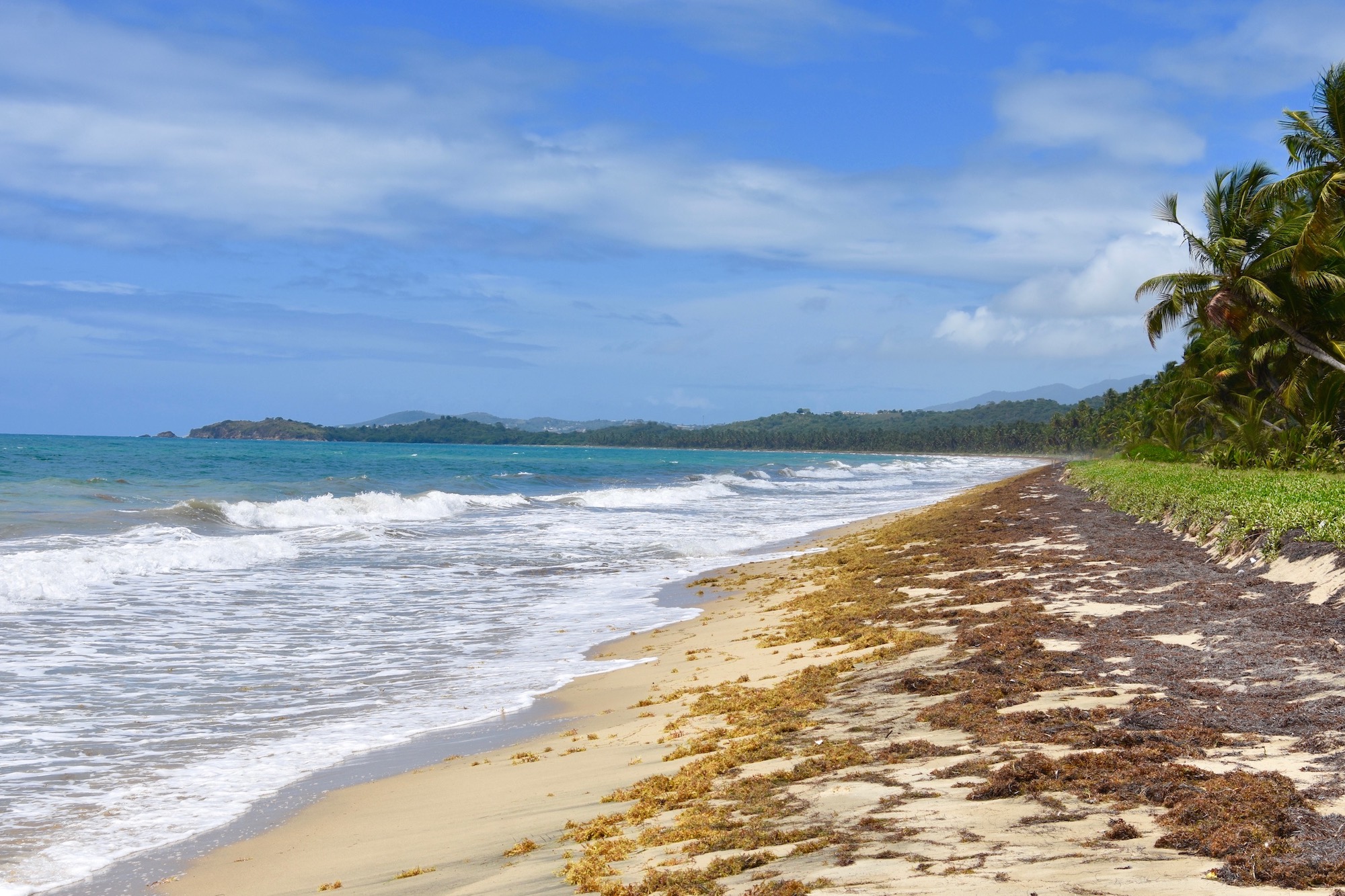 Deserted Beach, Humacao Natural Reserve