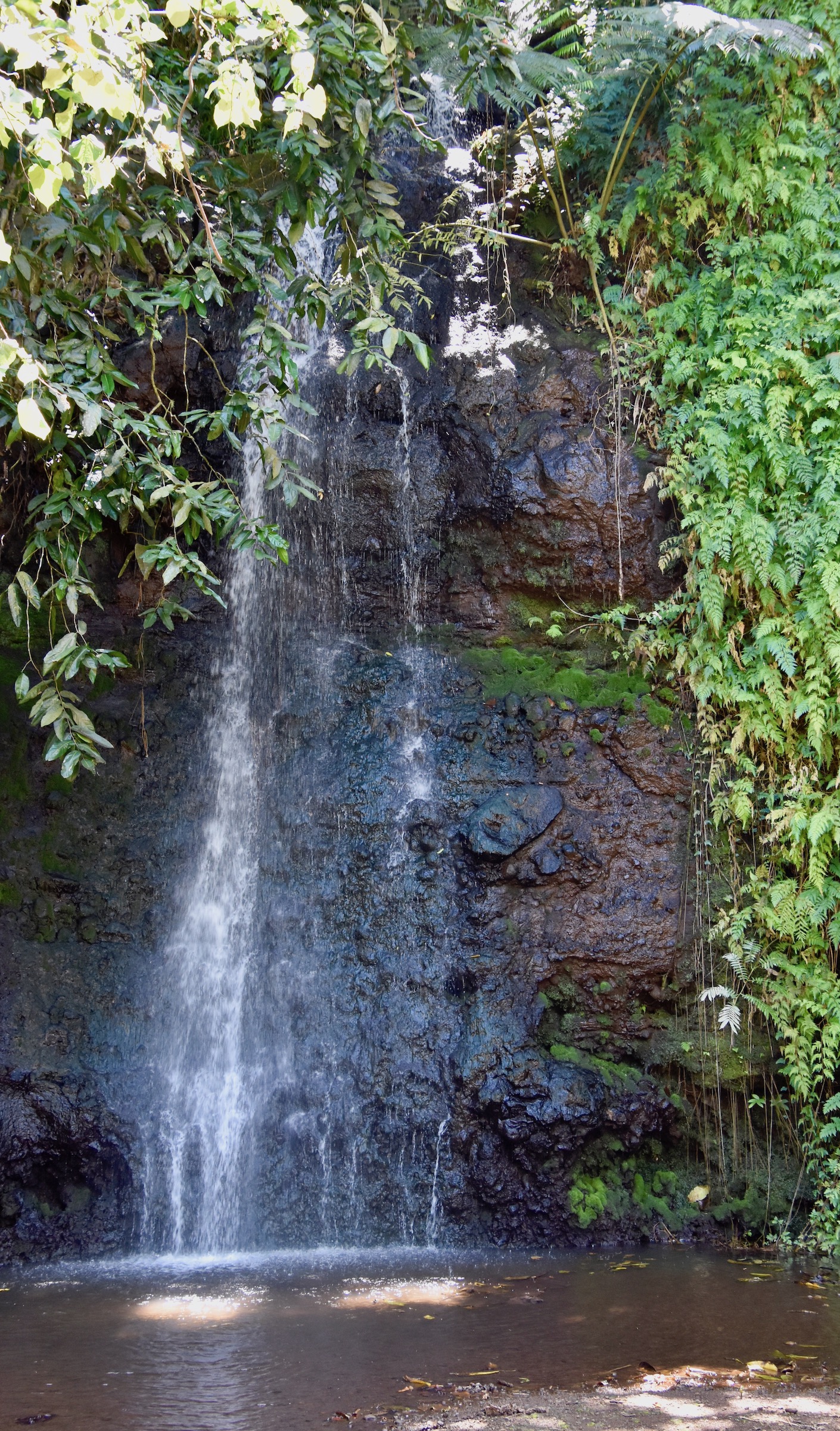 Sacred Waterfall and Pool on the Tahiti Circle Tour