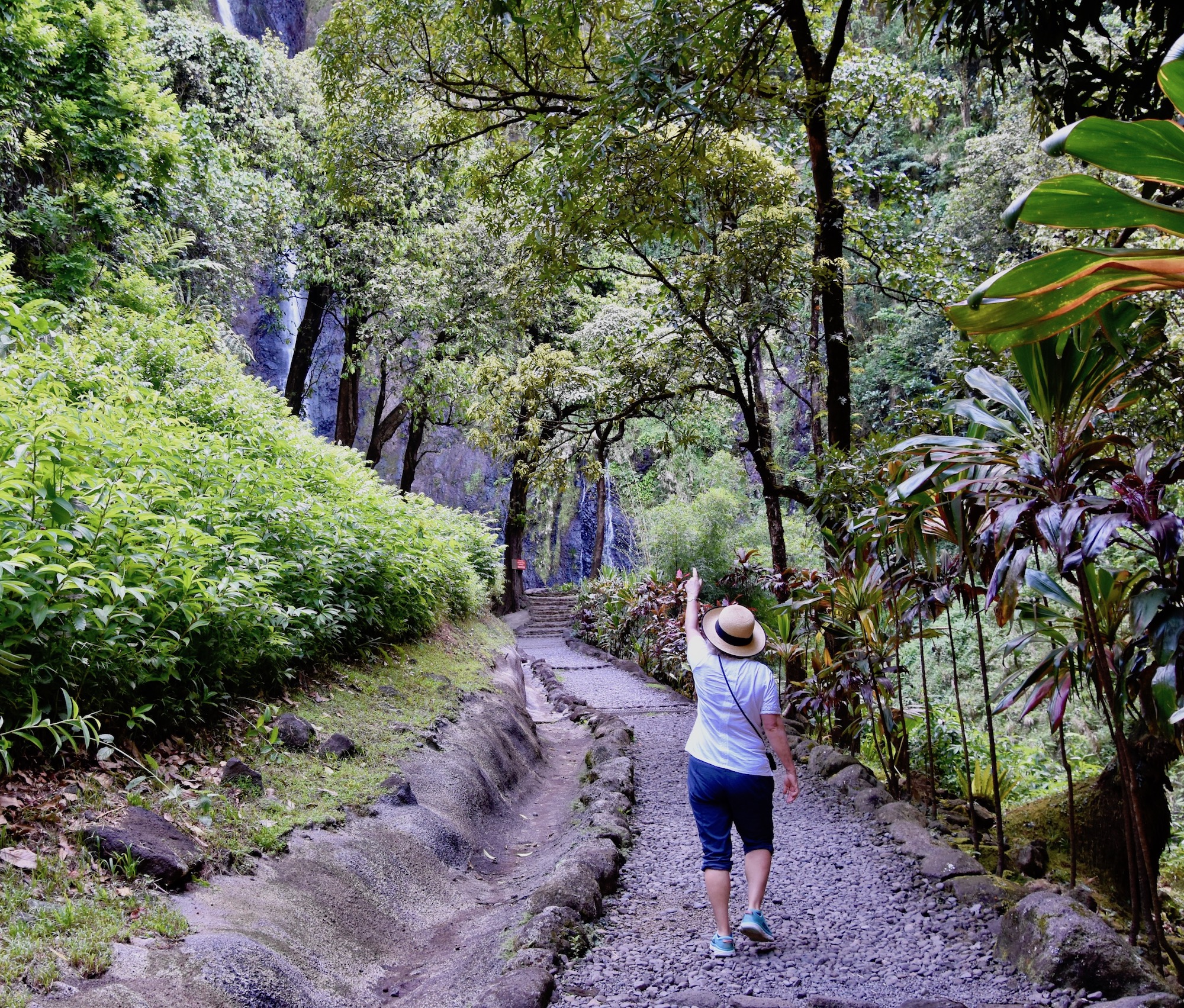 Alison First Seeing Faarumai Falls, Tahiti Circle Tour