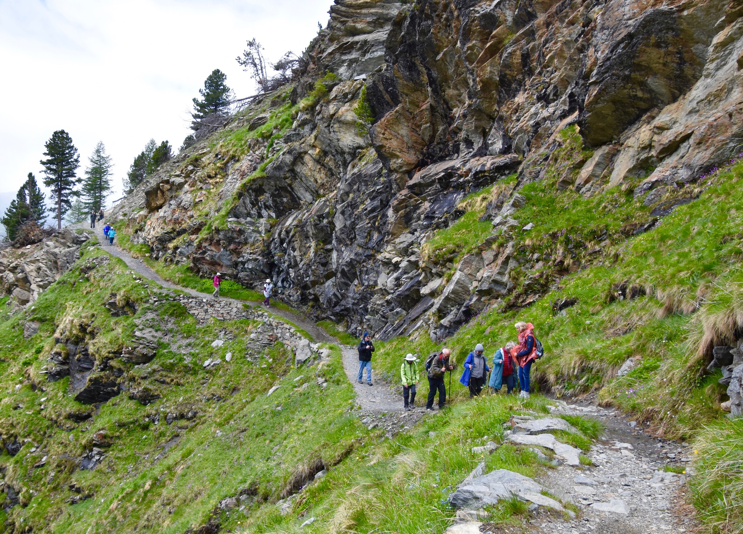 My Experience Trekking in the Swiss Alps - Erika's Travelventures