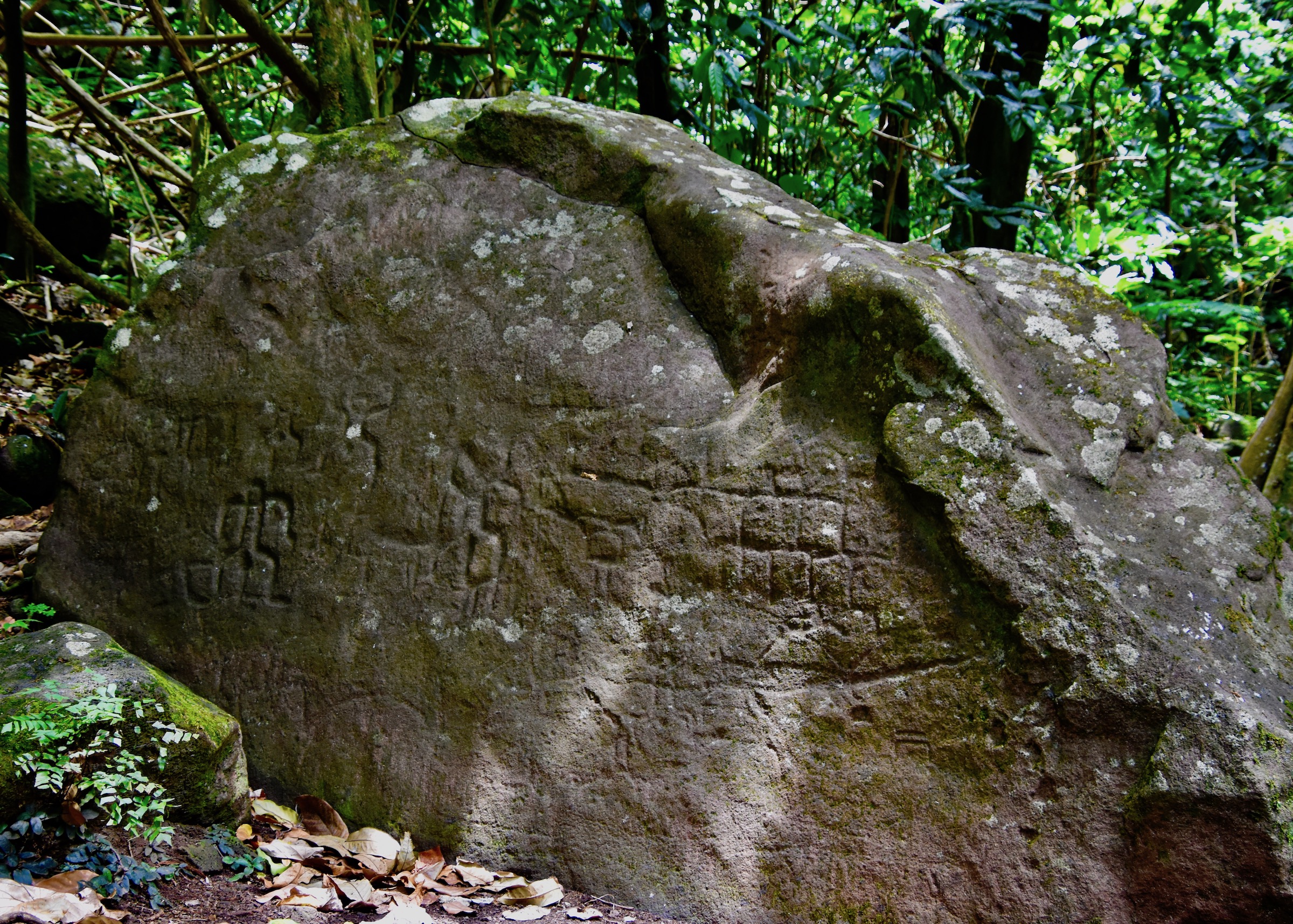 Land Petroglyph, Nuku Hiva