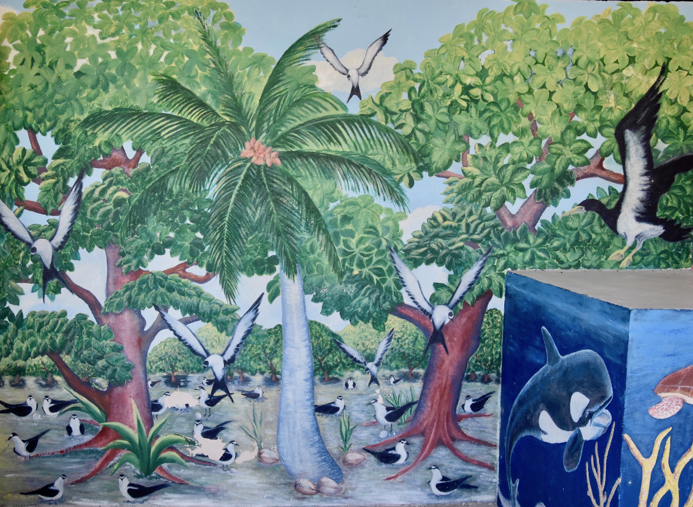 Mural of Sooty Tern Colony, Kauehi