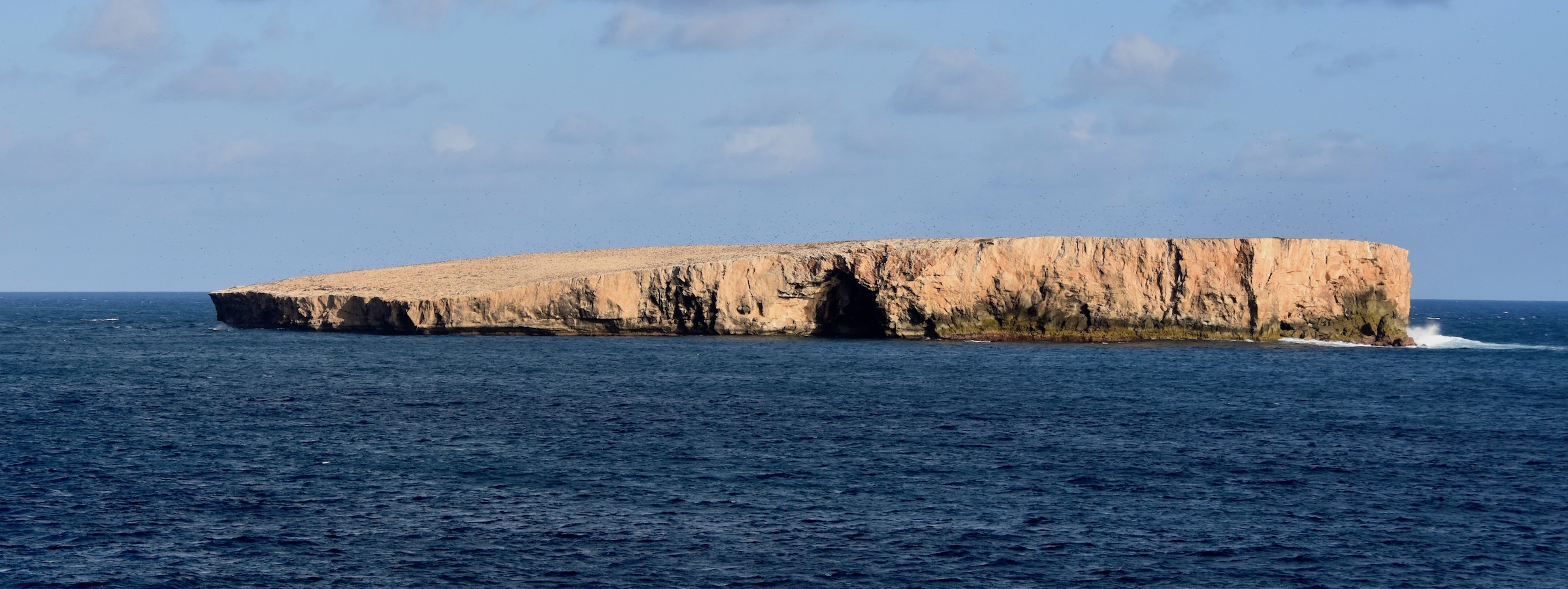 Sea Bird Colony off Ua Huka