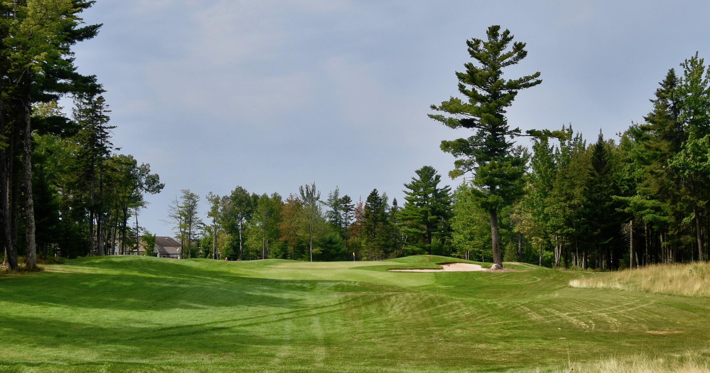 No. 8, Fox Creek