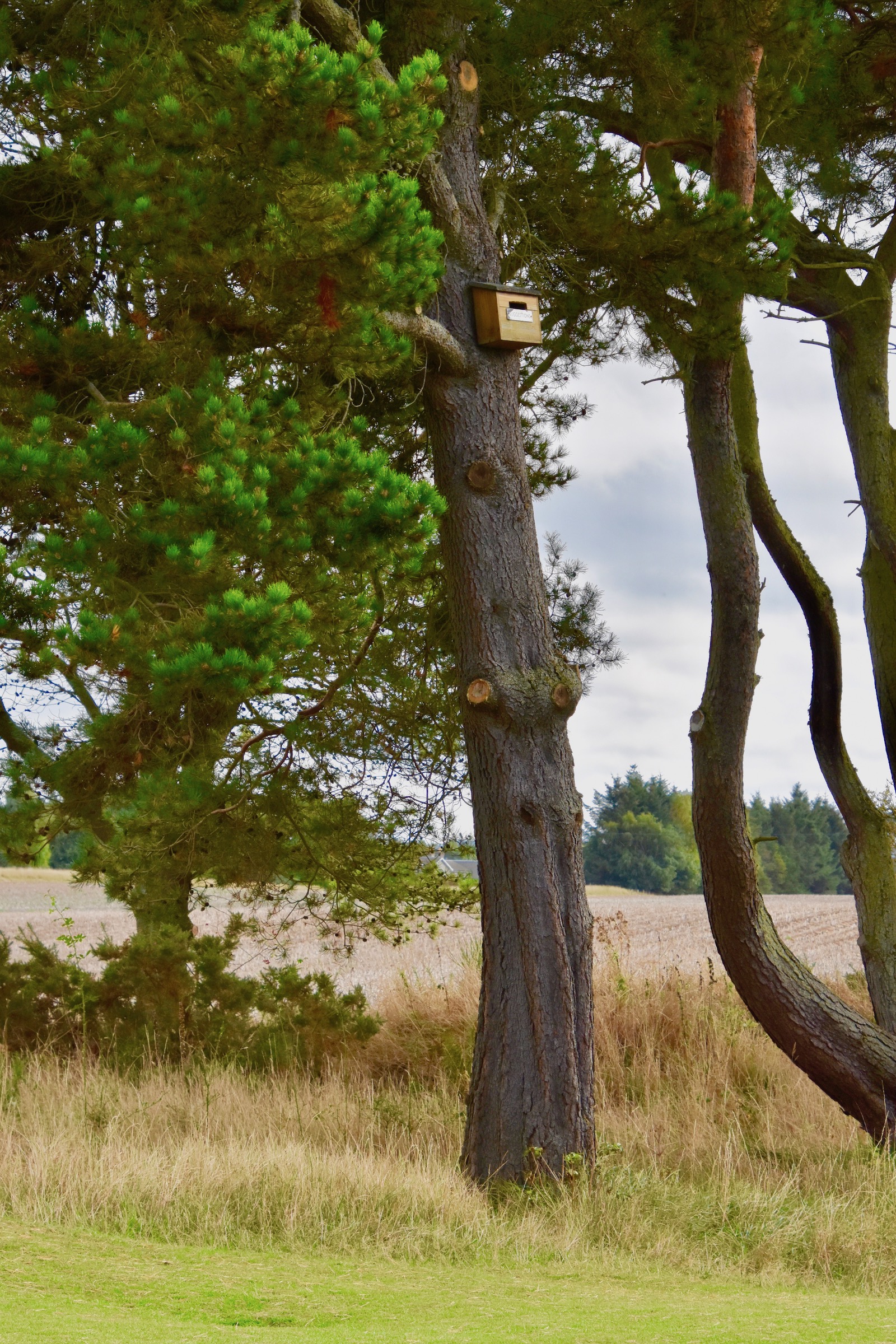  The Suggestion Box, Nairn