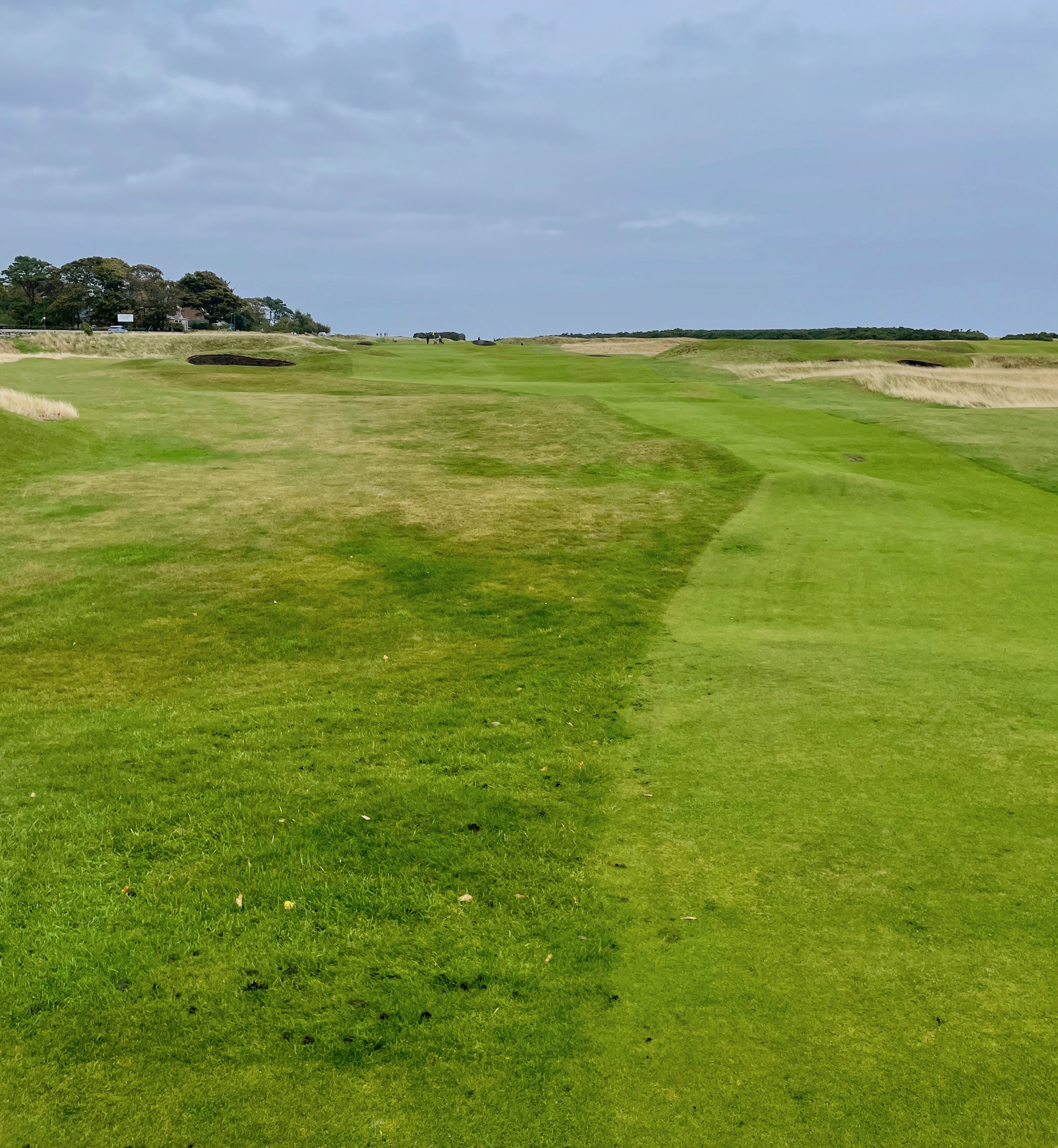 #1 Royal Dornoch