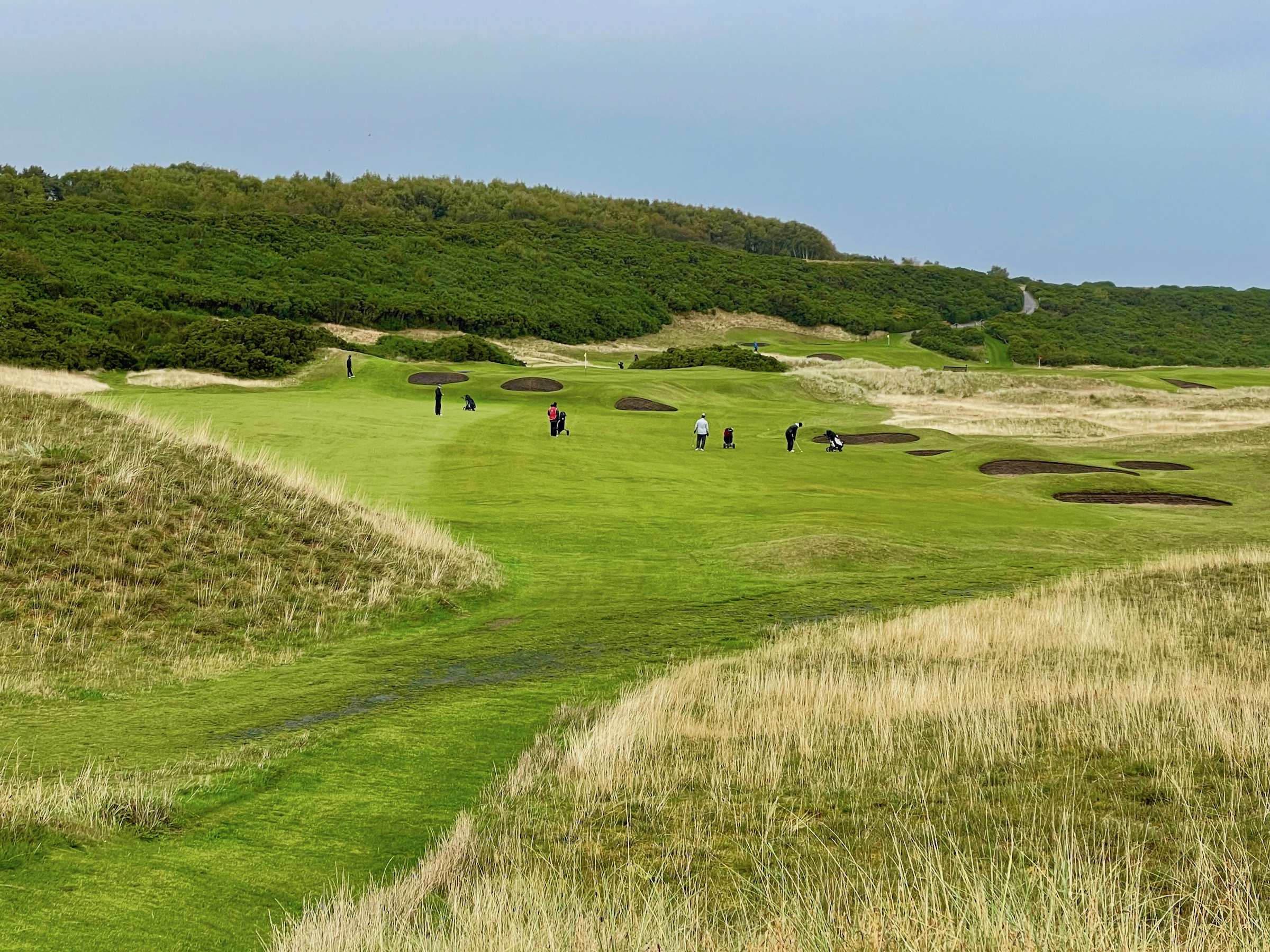 Royal Dornoch #5