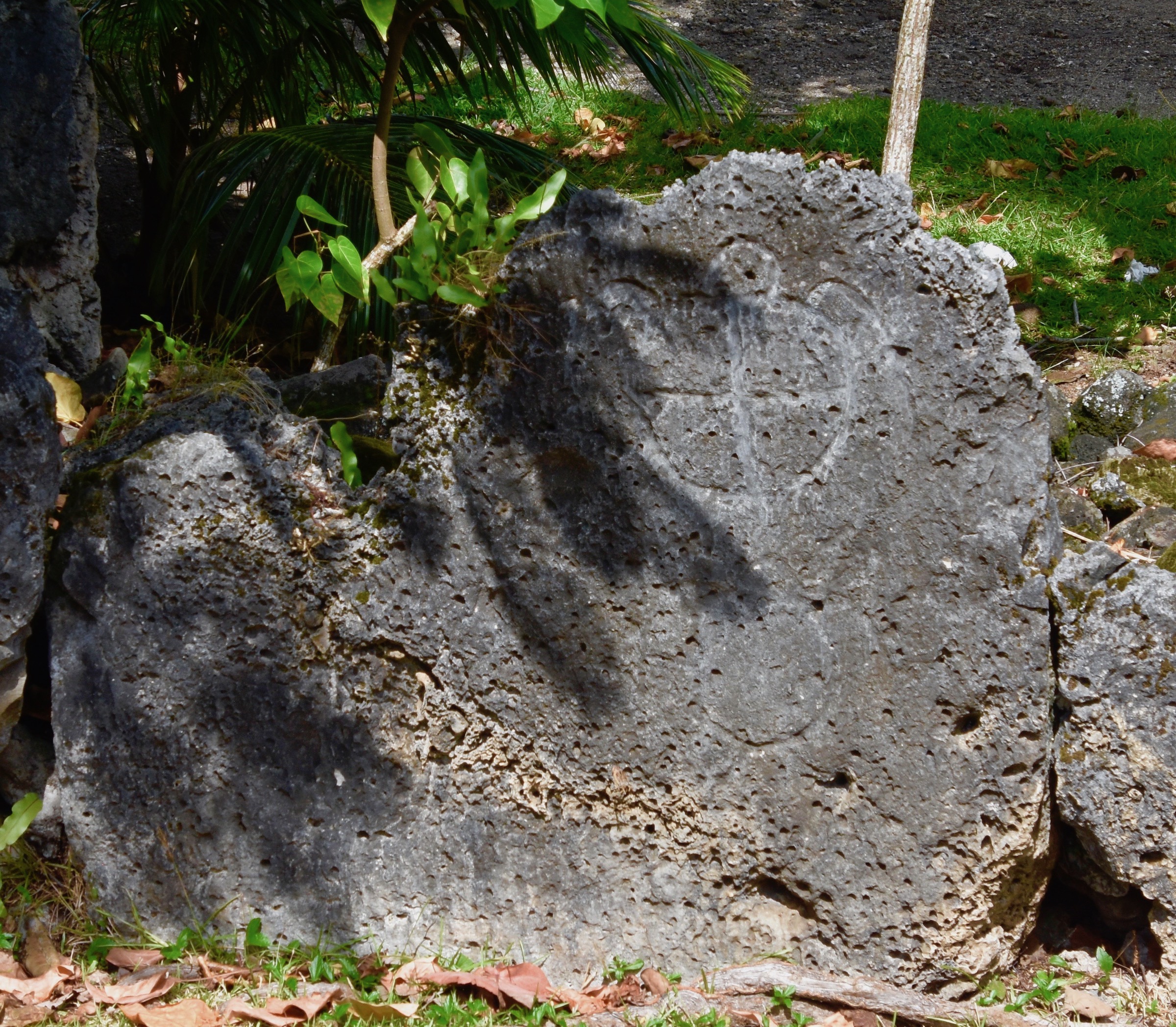 Turtle Petroglyph, Bora Bora