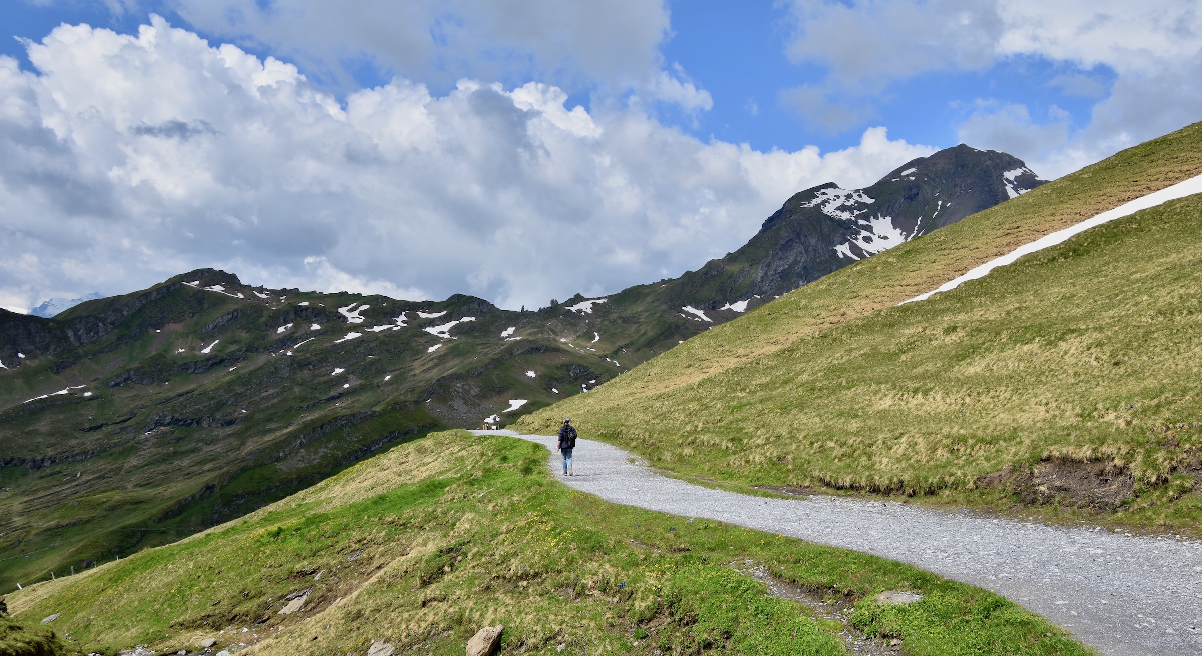 Path to Bachalpsee, Above Grindelwald