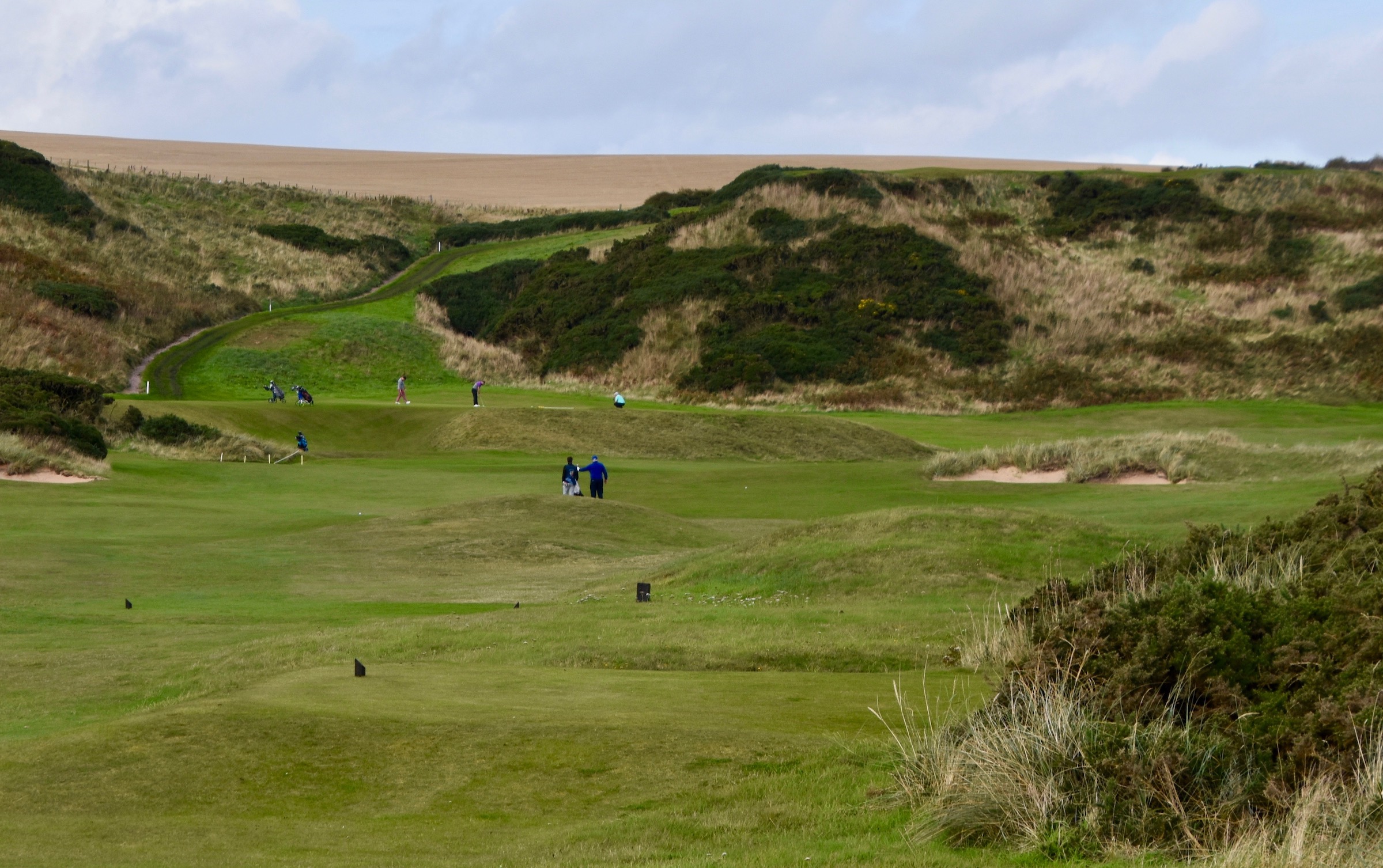 Cruden Bay #13