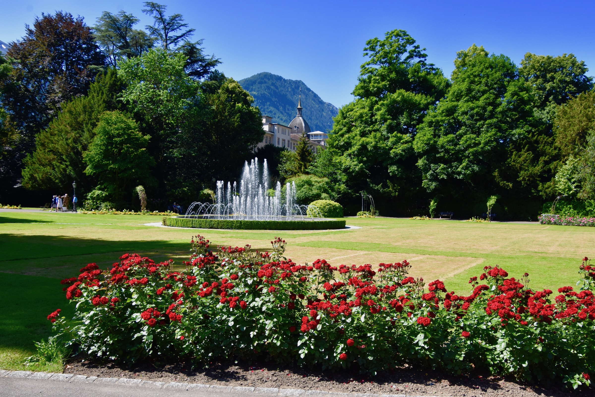 Roses and Fountain, Interlaken