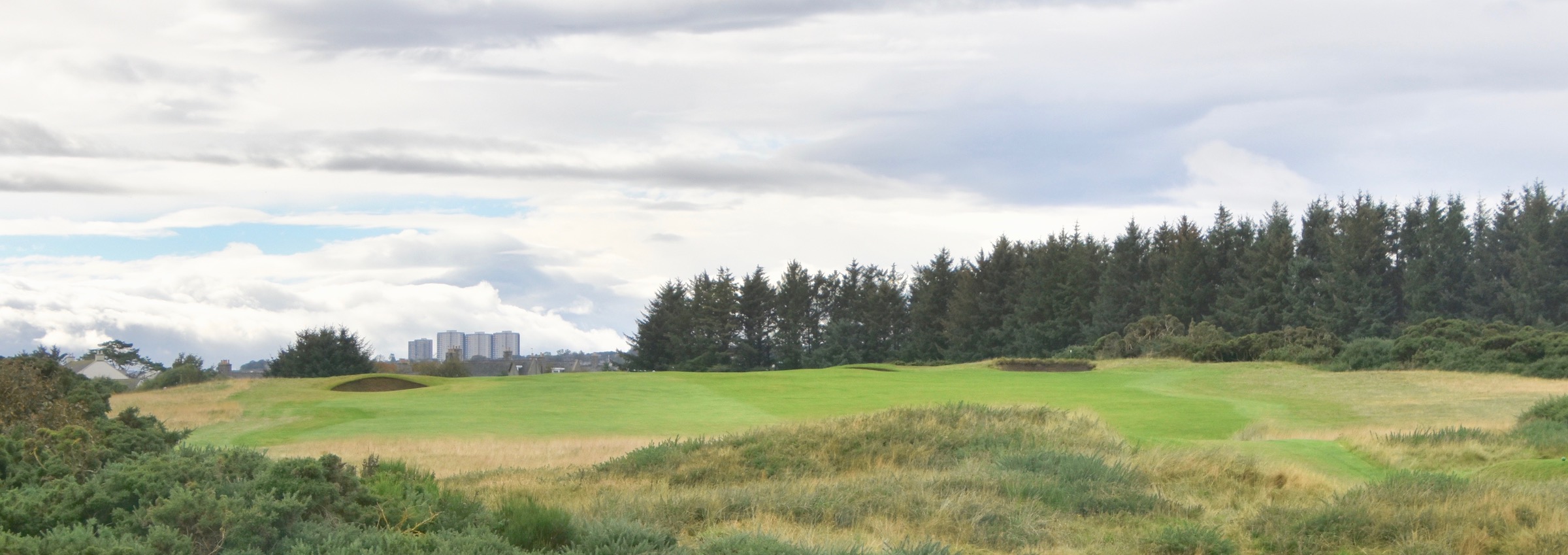 Royal Aberdeen #16