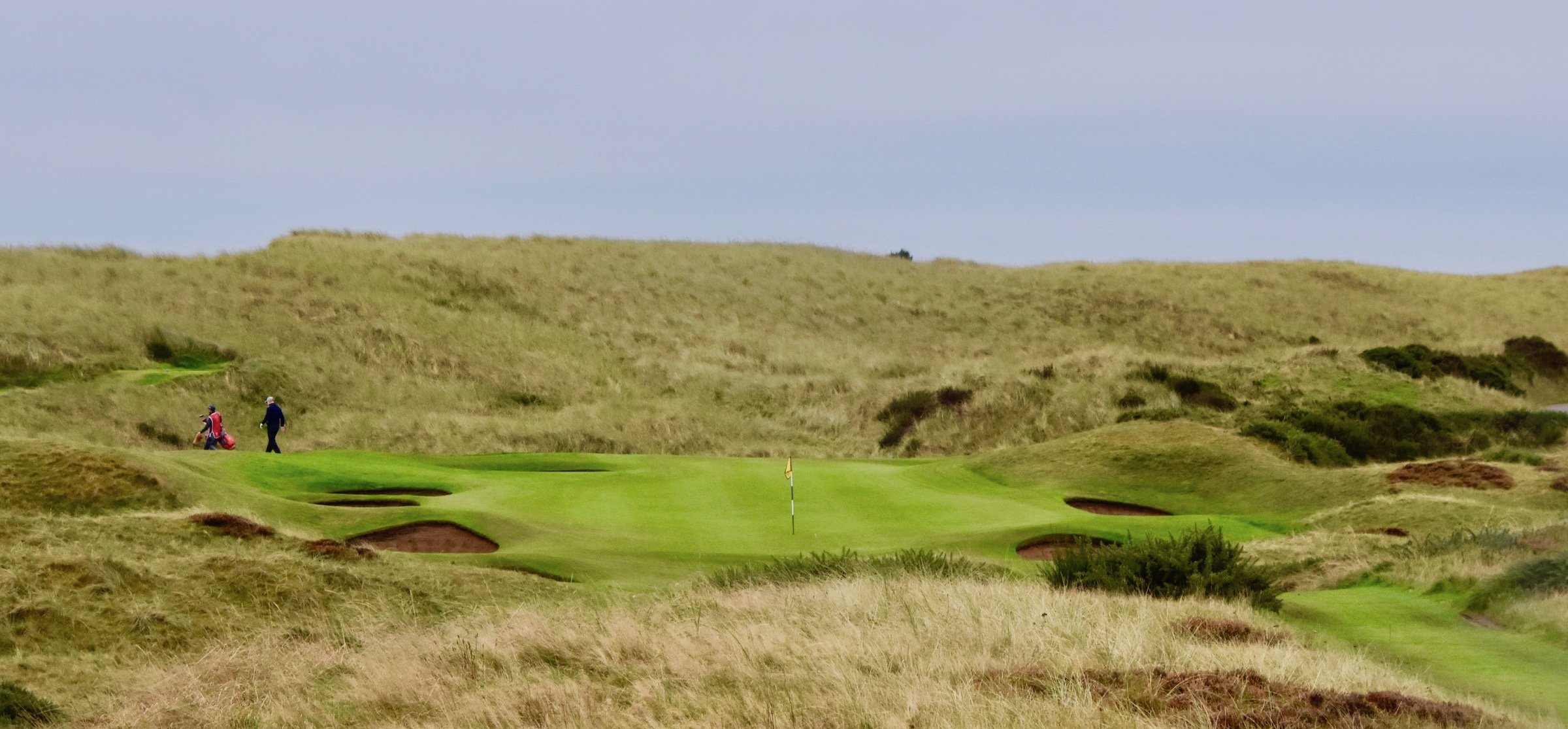 #8 Blagownie Royal Aberdeen