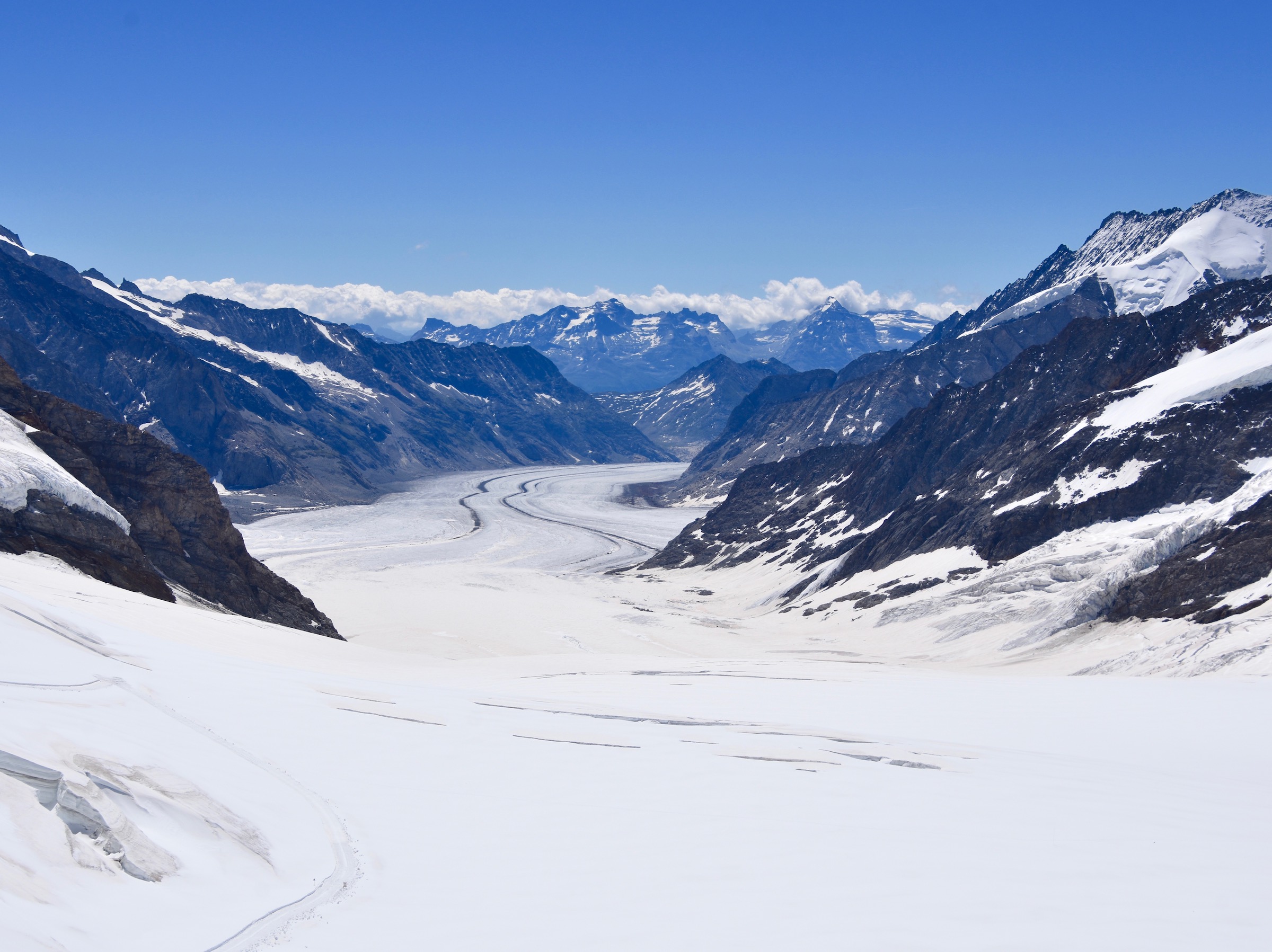 Aletsch Glacier from The Sphinx on Jungfraujoch