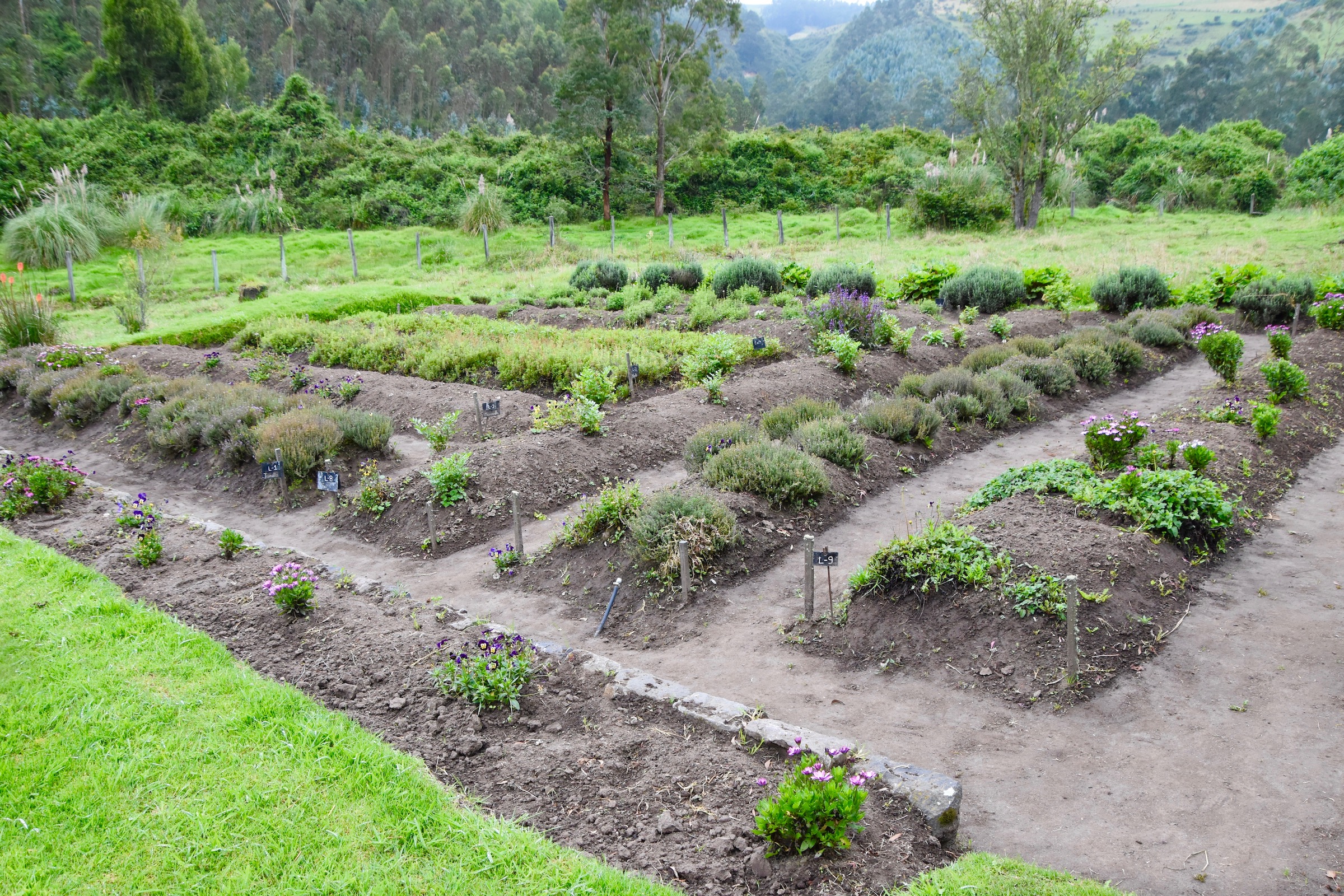 Herb Garden, Hacienda Zuleta