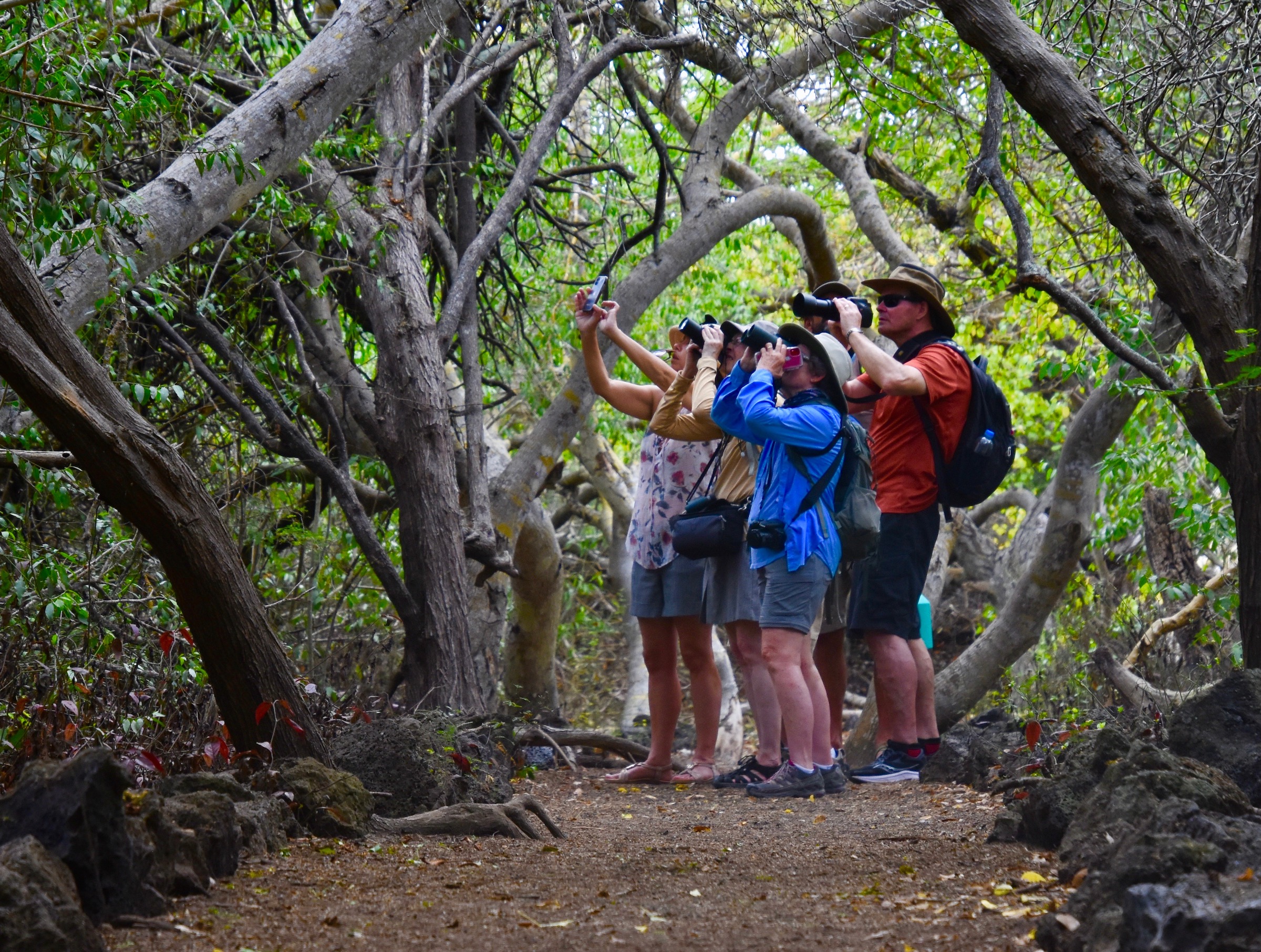 Birders not looking for tortoises