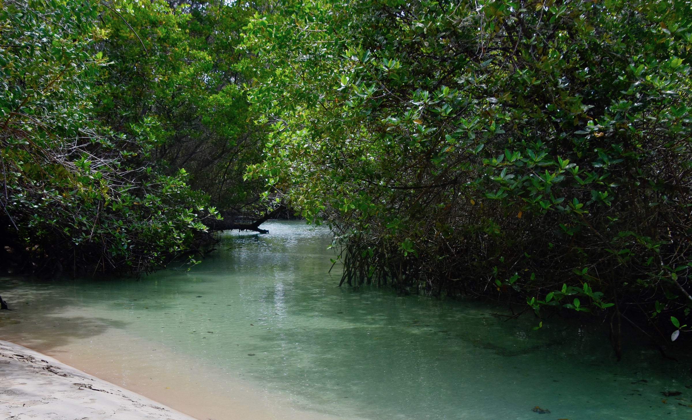 El Estero, Isabela