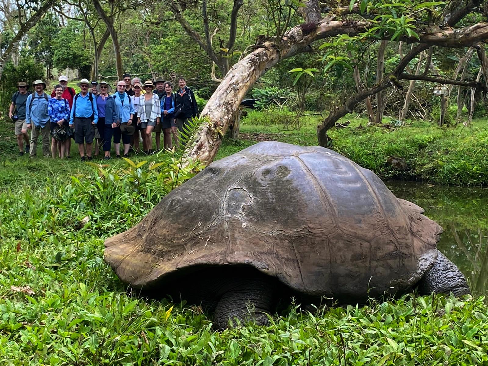 Group Shot with Tortoise, Santa Cruz