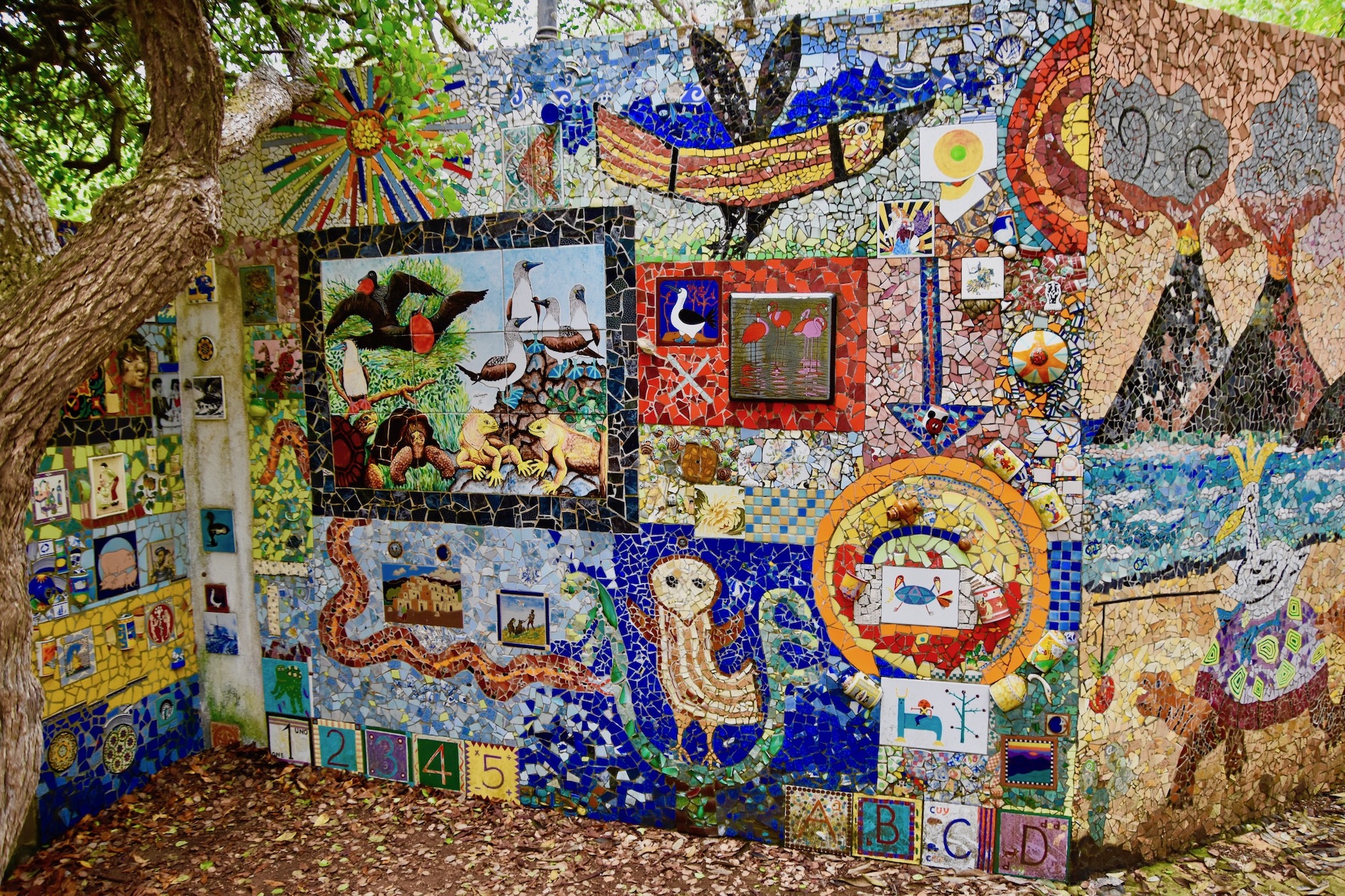 Sea Life Mosaic, Puerto Ayora, Santa Cruz
