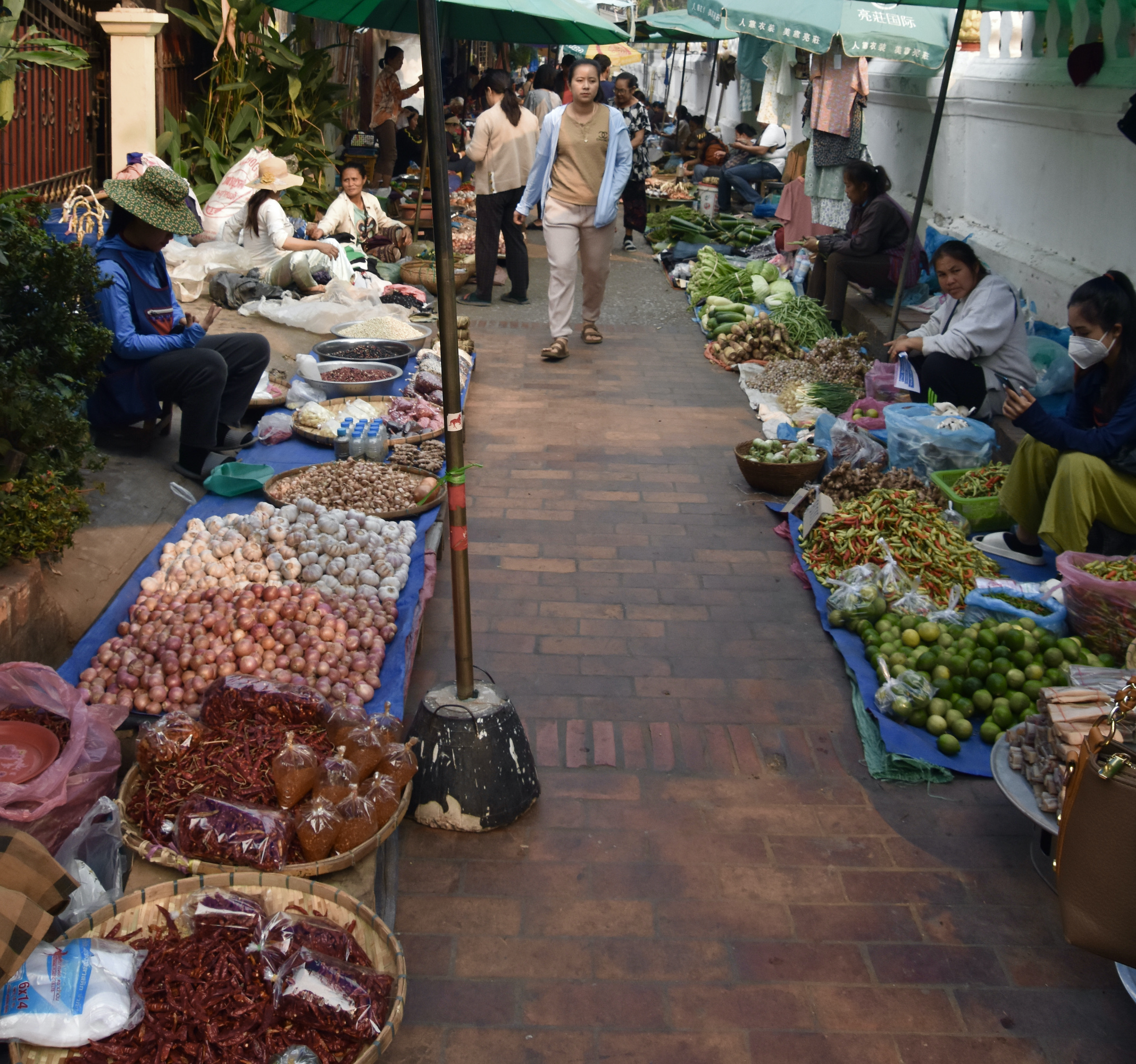 The Market in Luang Prabang, Laos
