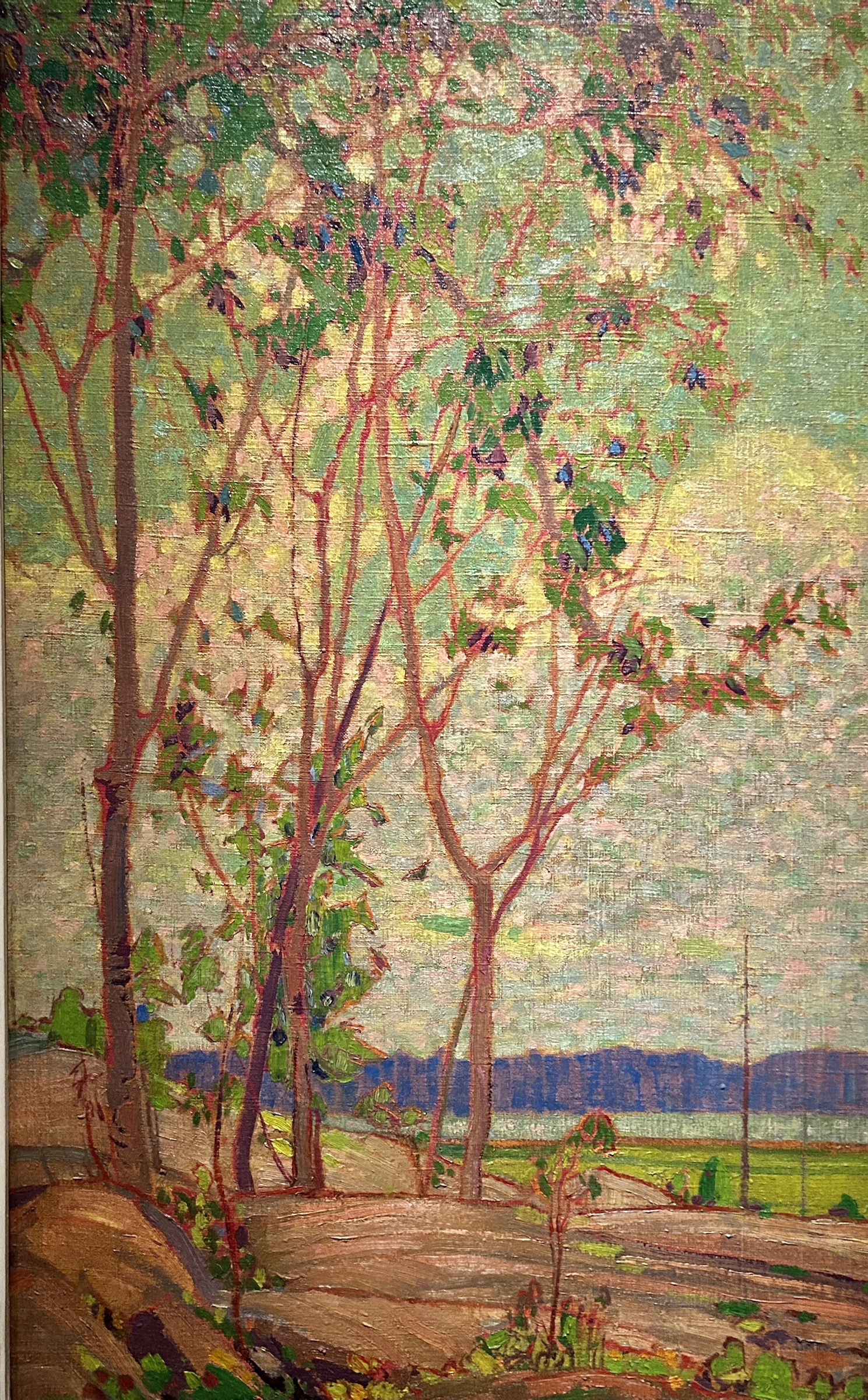 Tom Thomson - Spring, Beaverbrook Art Gallery