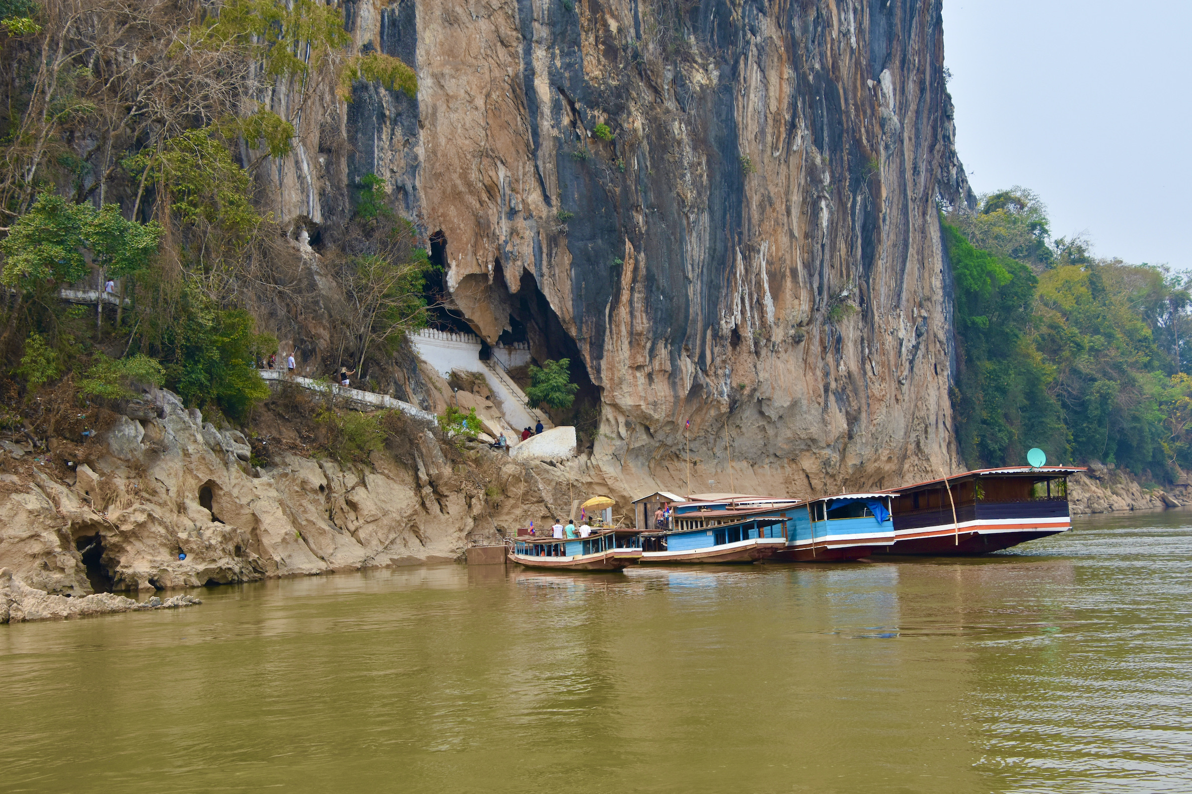 World's largest freshwater fish found in Cambodia's Mekong river - The Hindu